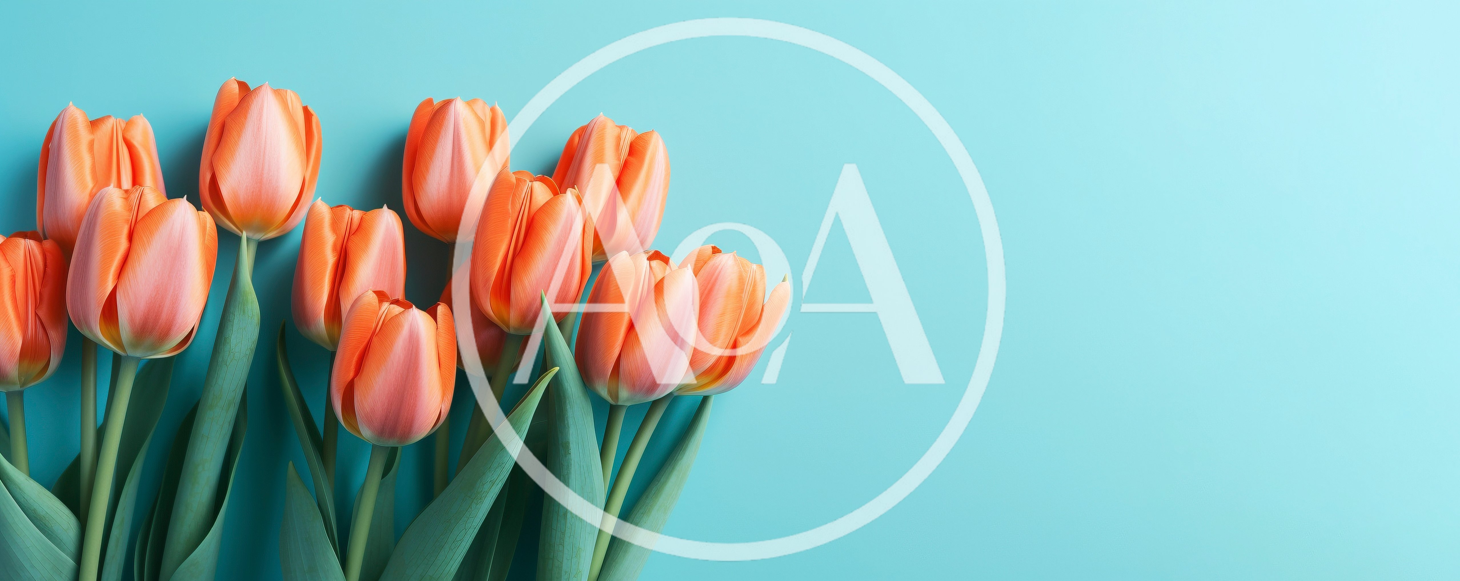 Orange Tulips Arranged On A Light Blue Background