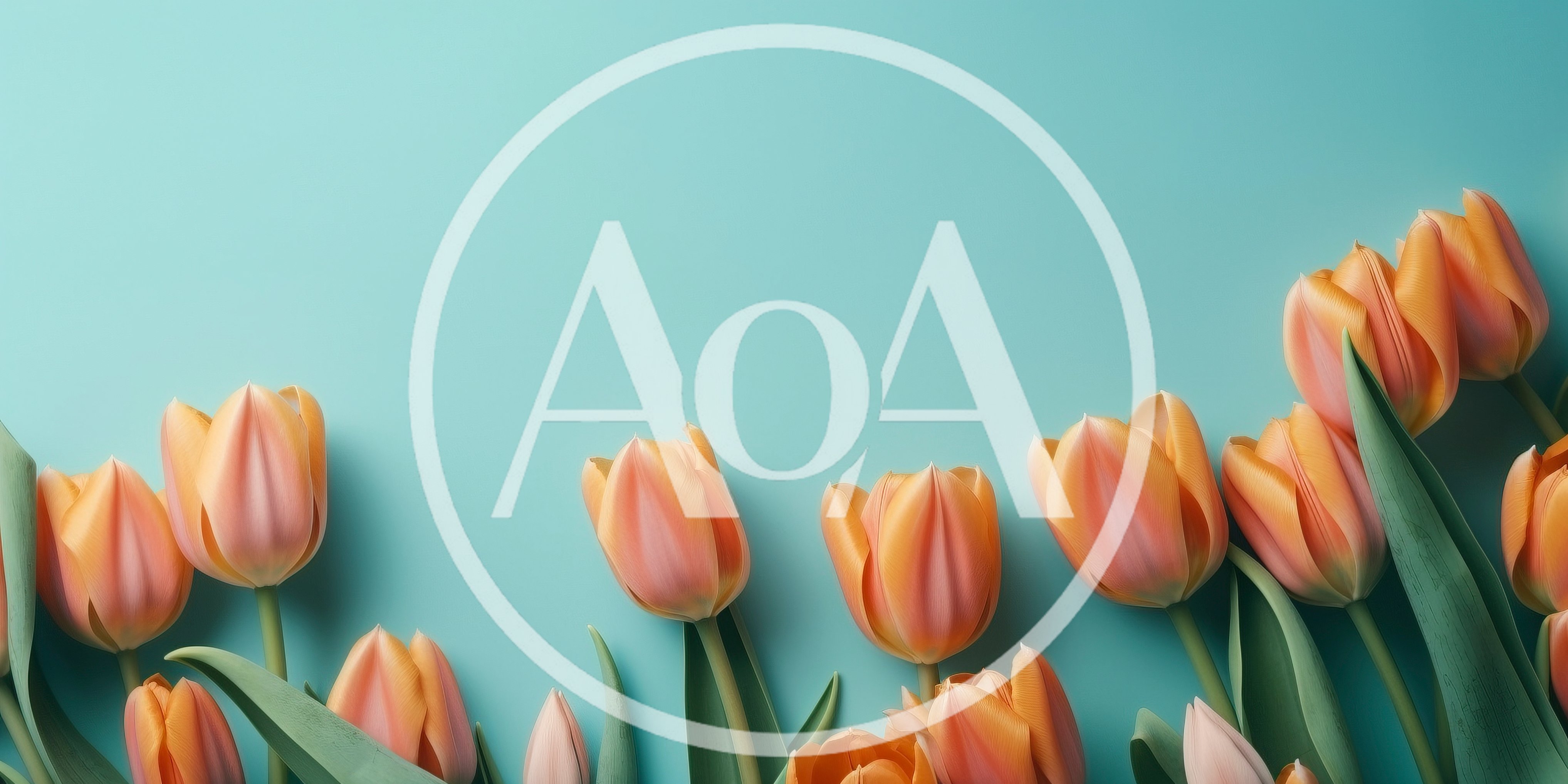 Orange Tulips Arranged on a Light Blue Background