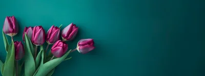 Purple Tulip Bouquet on Dark Teal Background