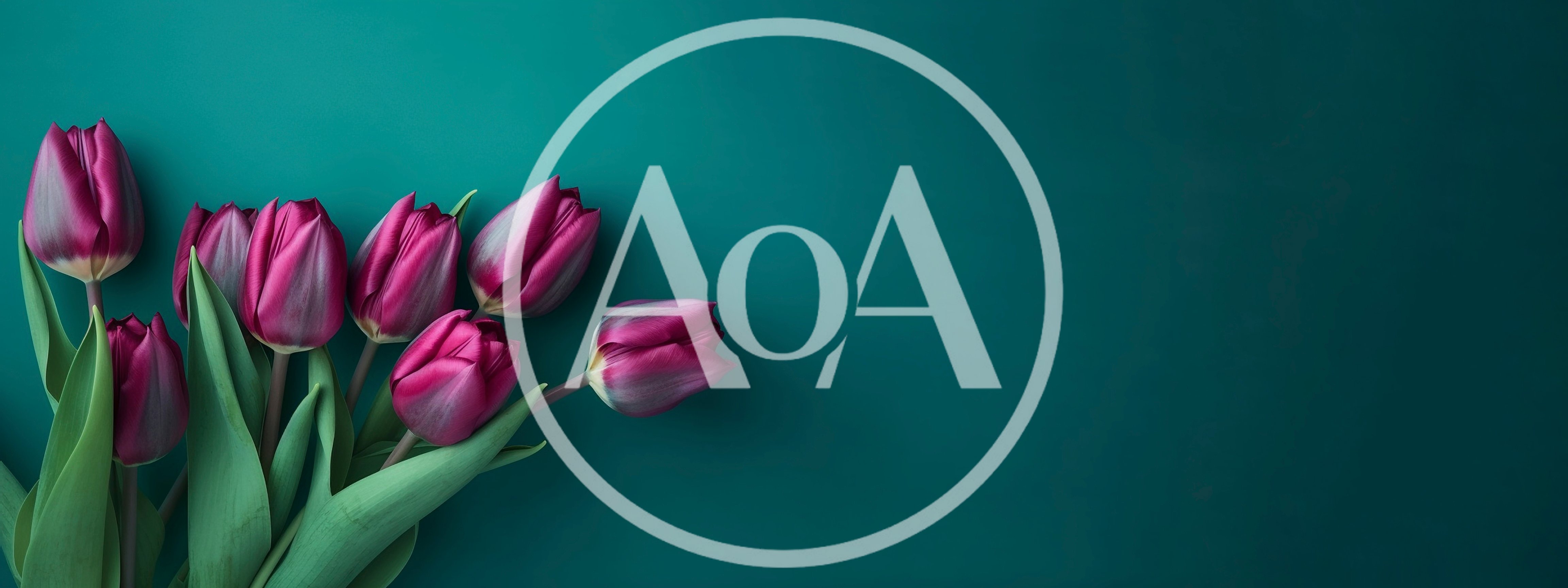 Purple Tulip Bouquet on Dark Teal Background