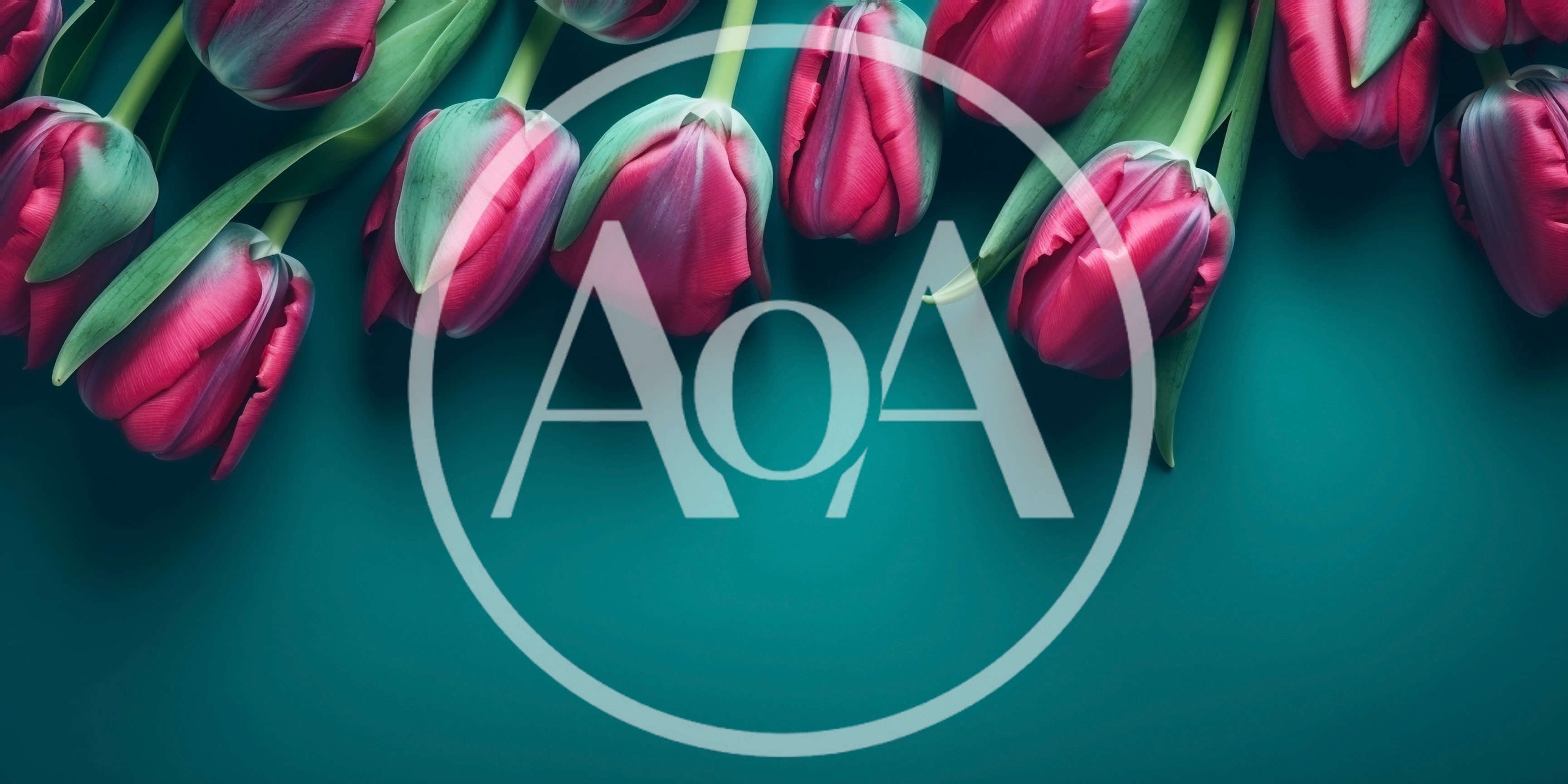 Pink Tulips Arranged On A Teal Background