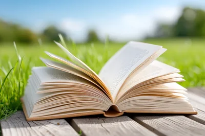 Open Book Resting On Wooden Deck In Grassy Field