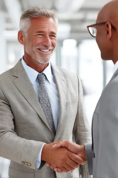Two Businessmen Shaking Hands In A Modern Office