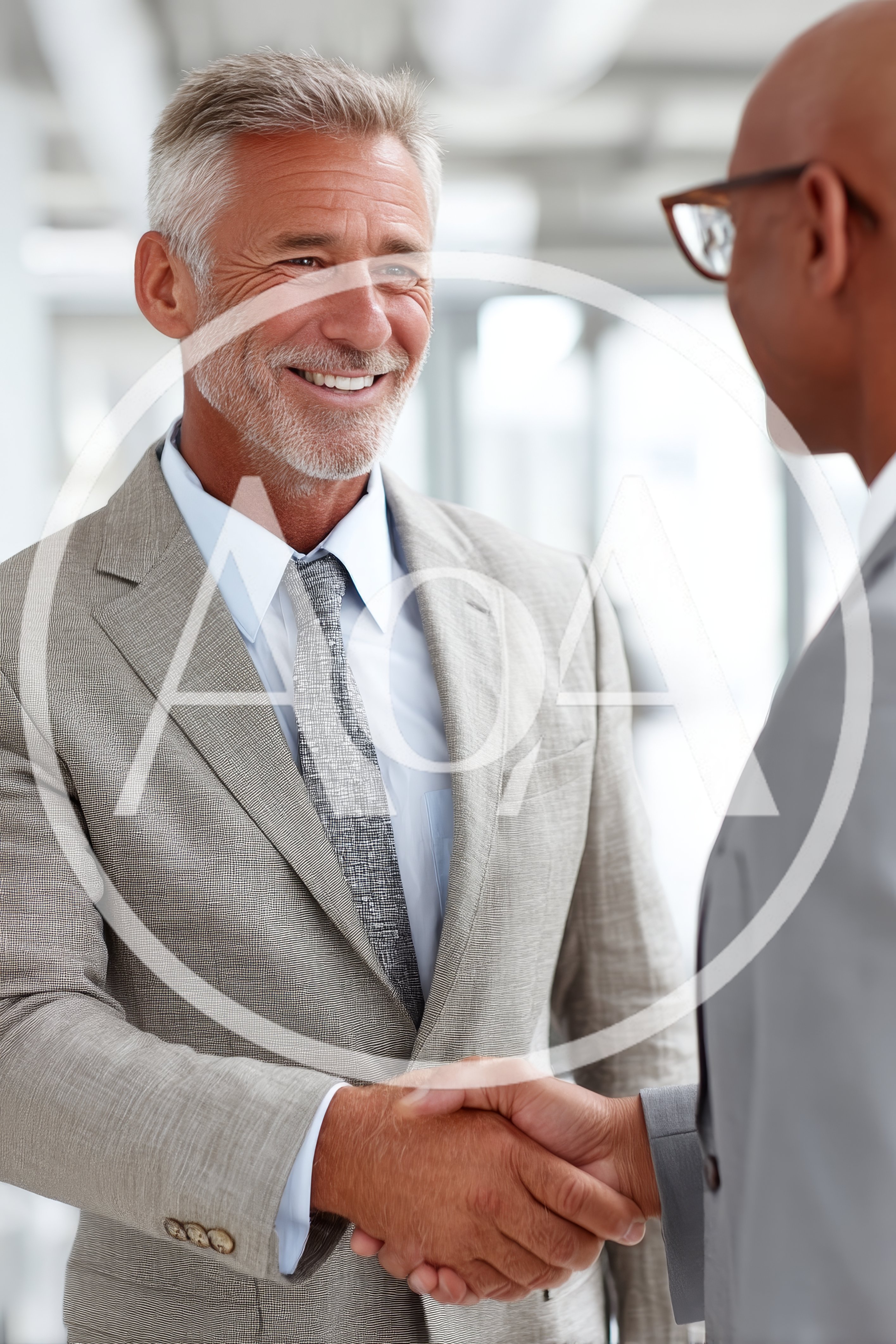 Two Businessmen Shaking Hands In A Modern Office