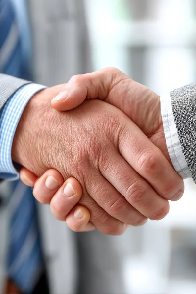 Professional Business Handshake Between Two Men