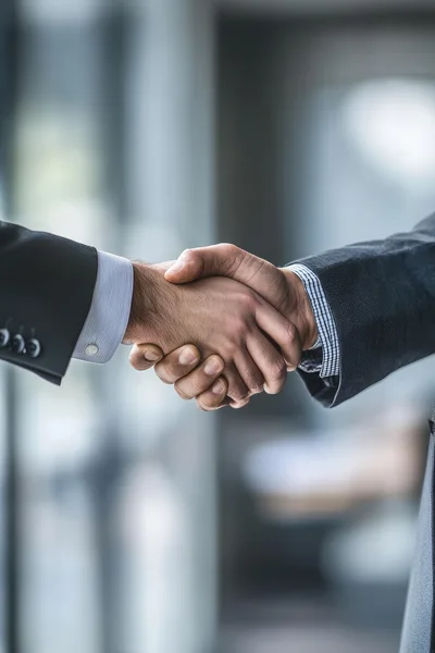 Businessmen Shaking Hands In A Professional Office Setting