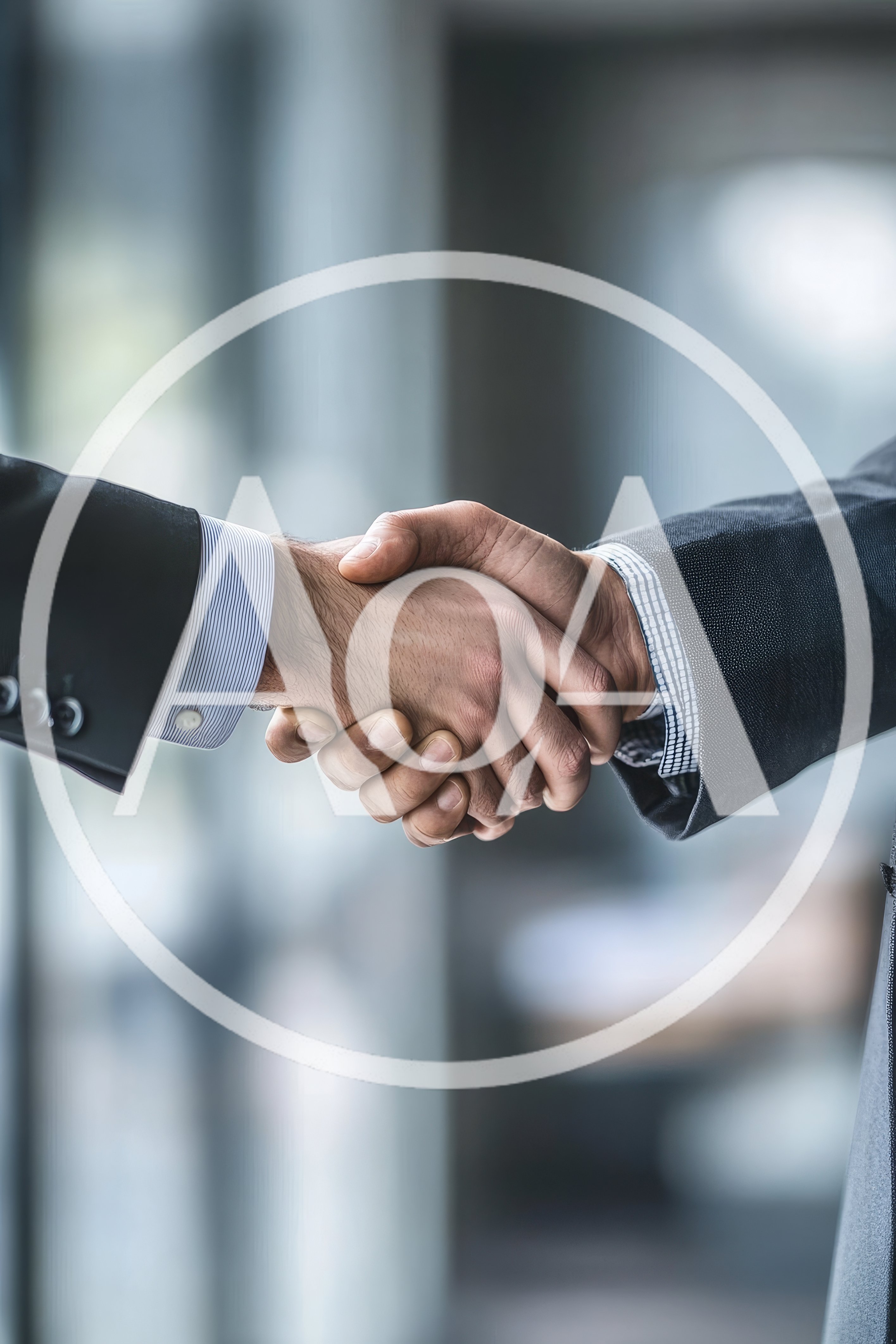 Businessmen Shaking Hands In A Professional Office Setting