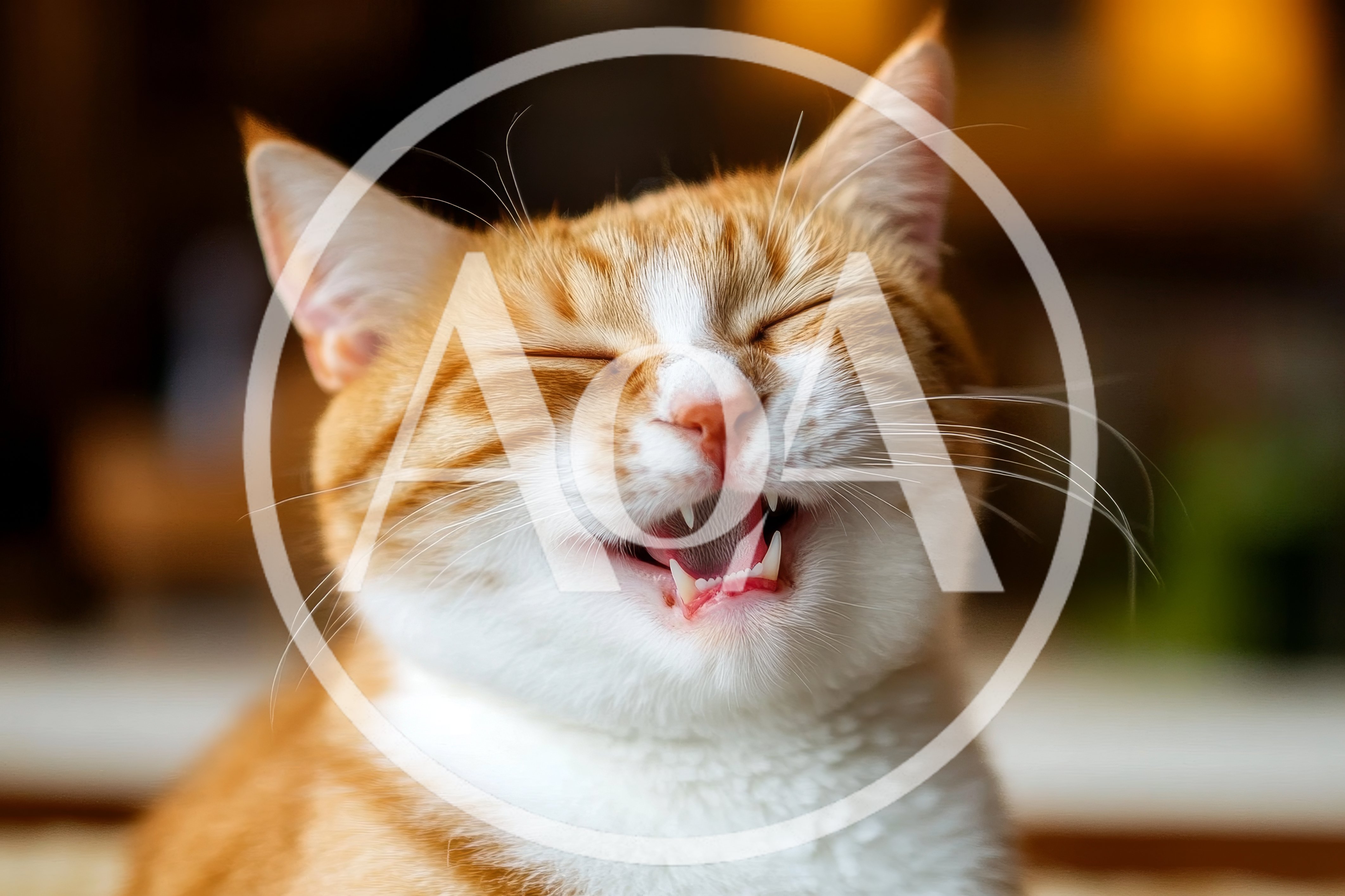 Happy Ginger Cat Laughing With Eyes Closed