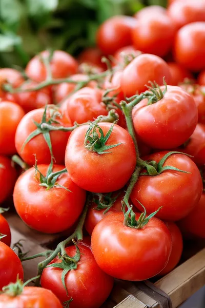 Fresh Red Tomatoes on the Vine