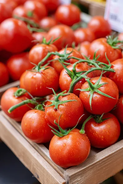 Fresh Red Tomatoes on the Vine in Wooden Crate