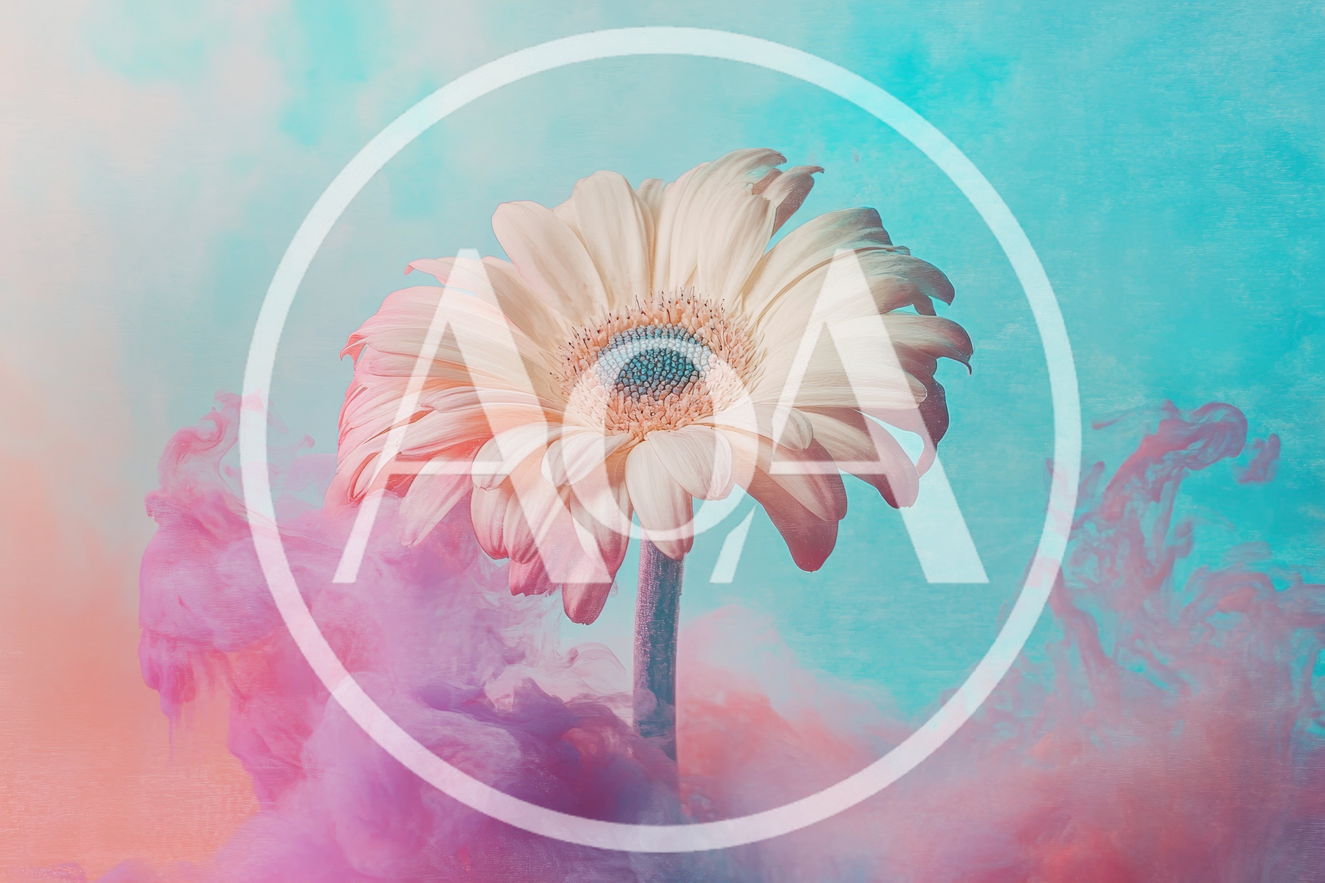 Gerbera Daisy Flower Surrounded By Swirling Pink Ink