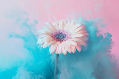 Gerbera Daisy Surrounded By Swirling Blue Ink Clouds