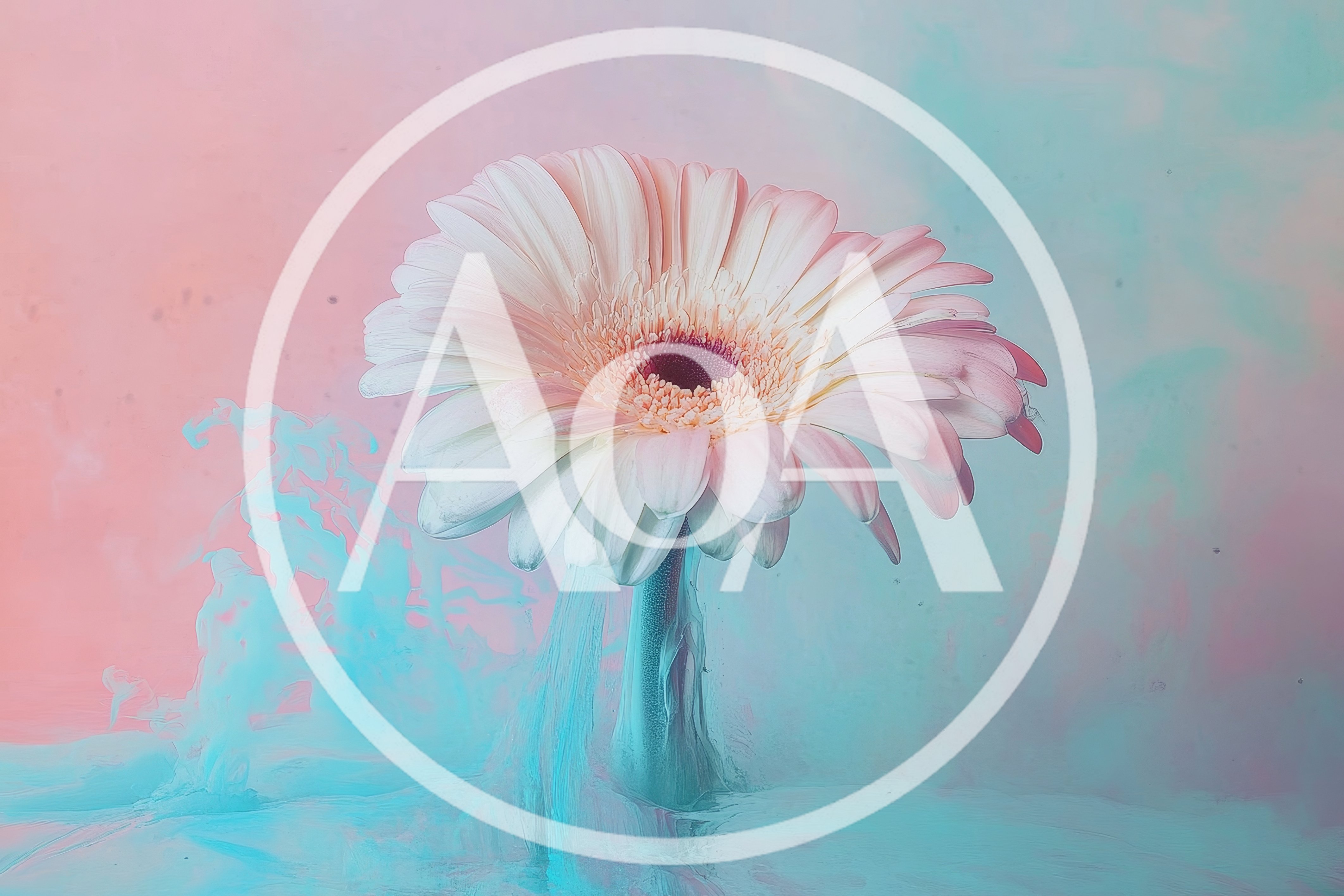 Gerbera Daisy Flower Submerged In Colorful Ink