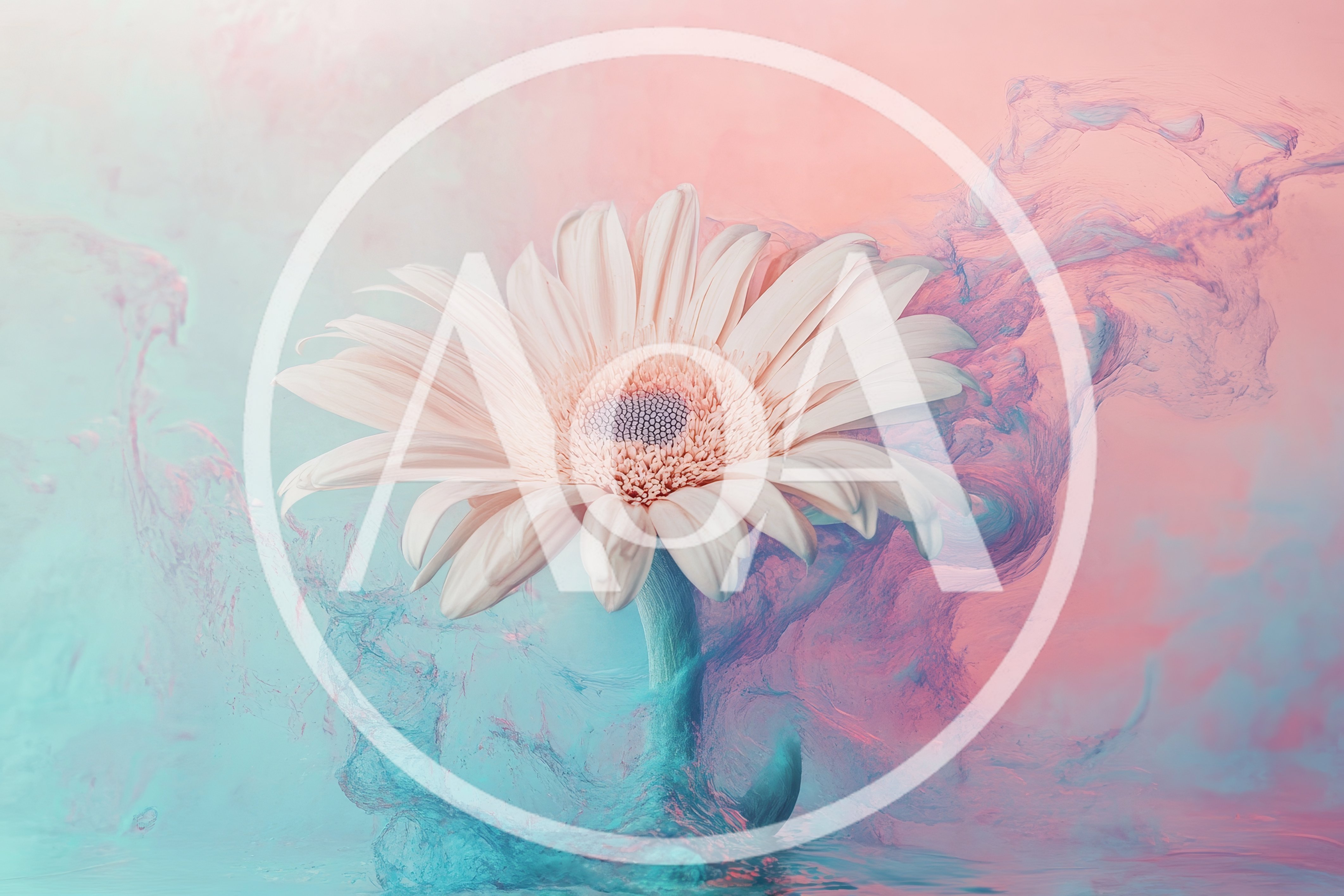 Gerbera Daisy Flower Surrounded By Swirling Pastel Ink