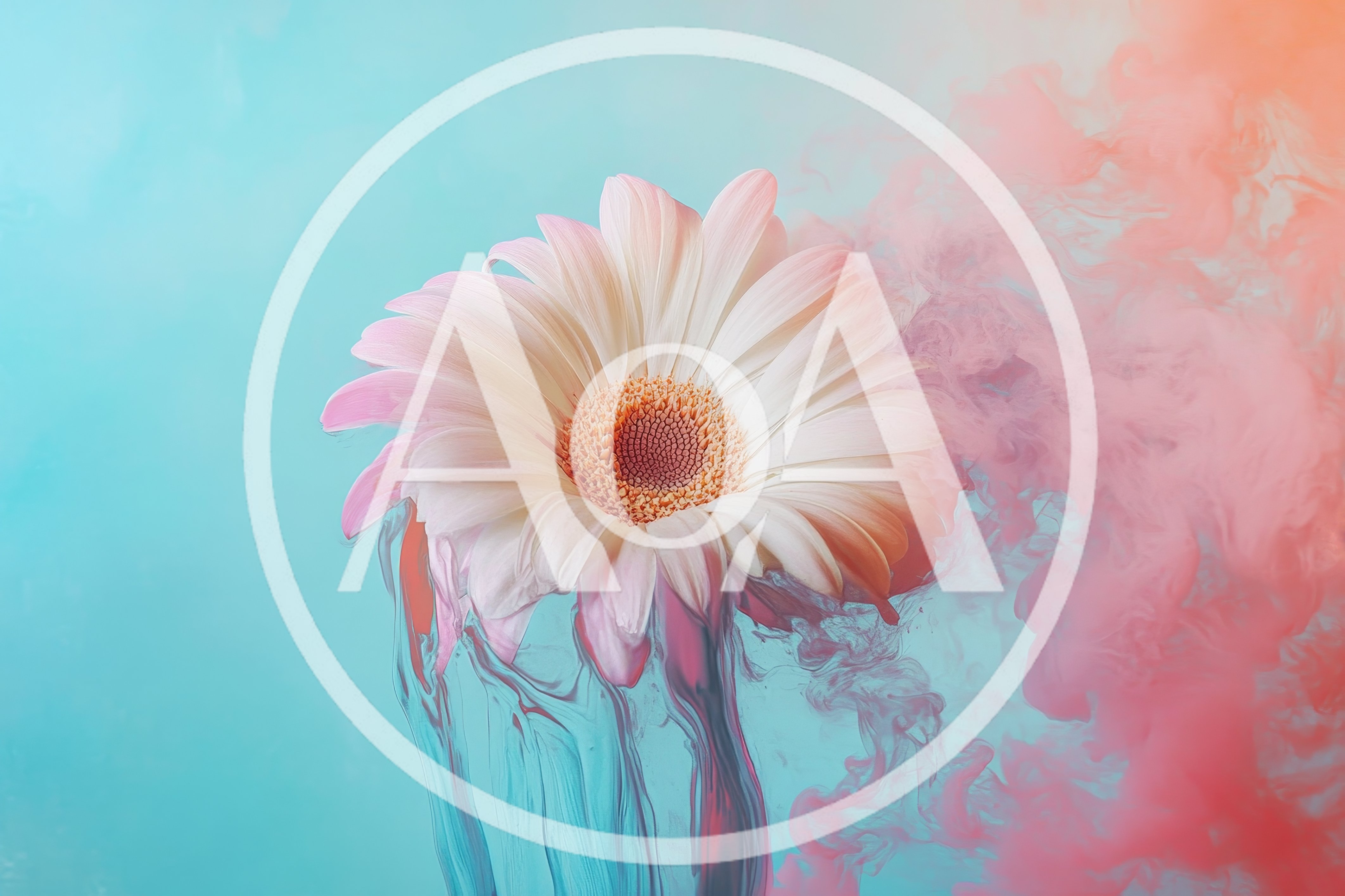Gerbera Daisy Flower Dissolving In Colorful Ink Clouds