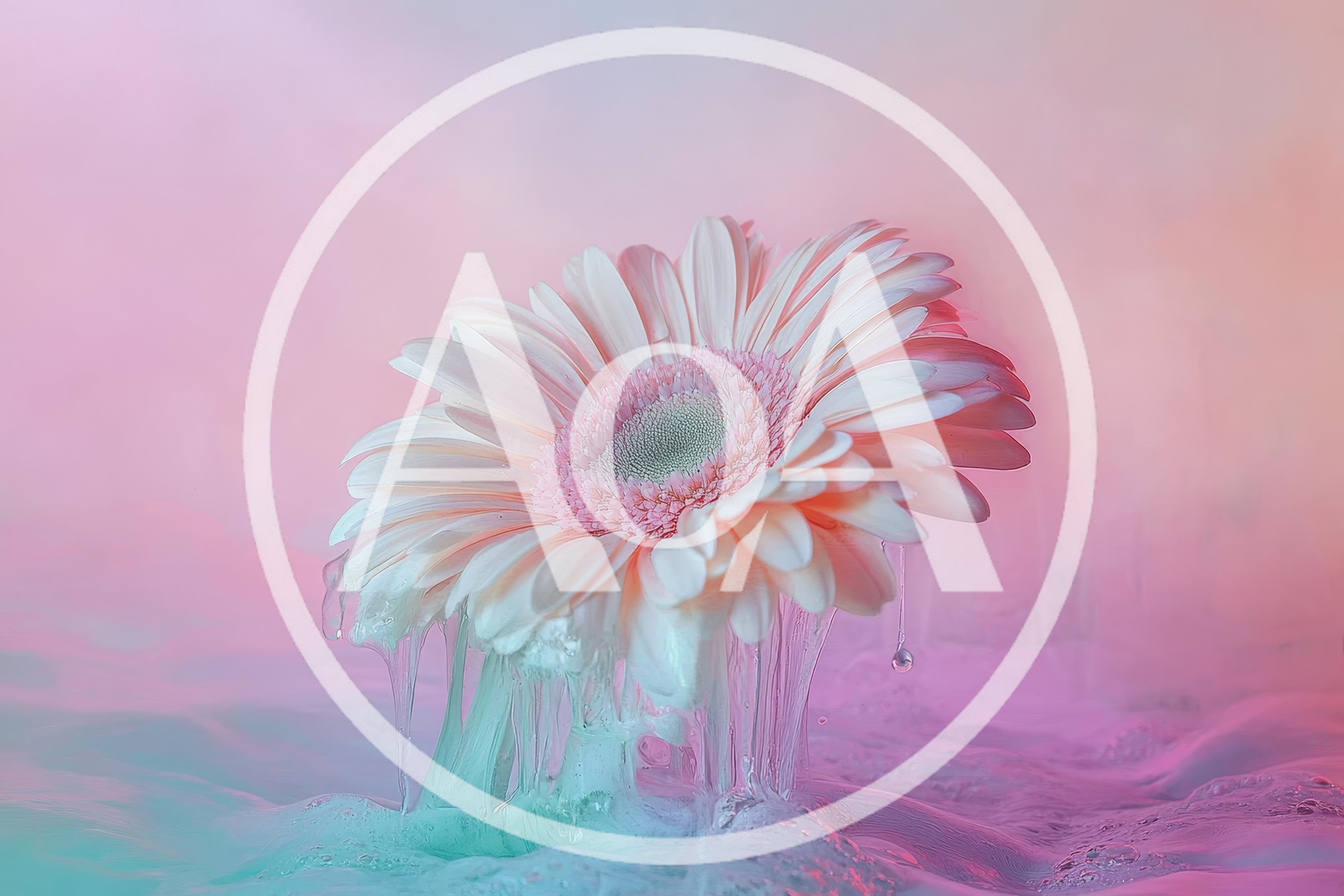 Gerbera Daisy Flower Submerged in Colorful Liquid