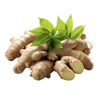 Fresh Ginger Root With Green Leaves