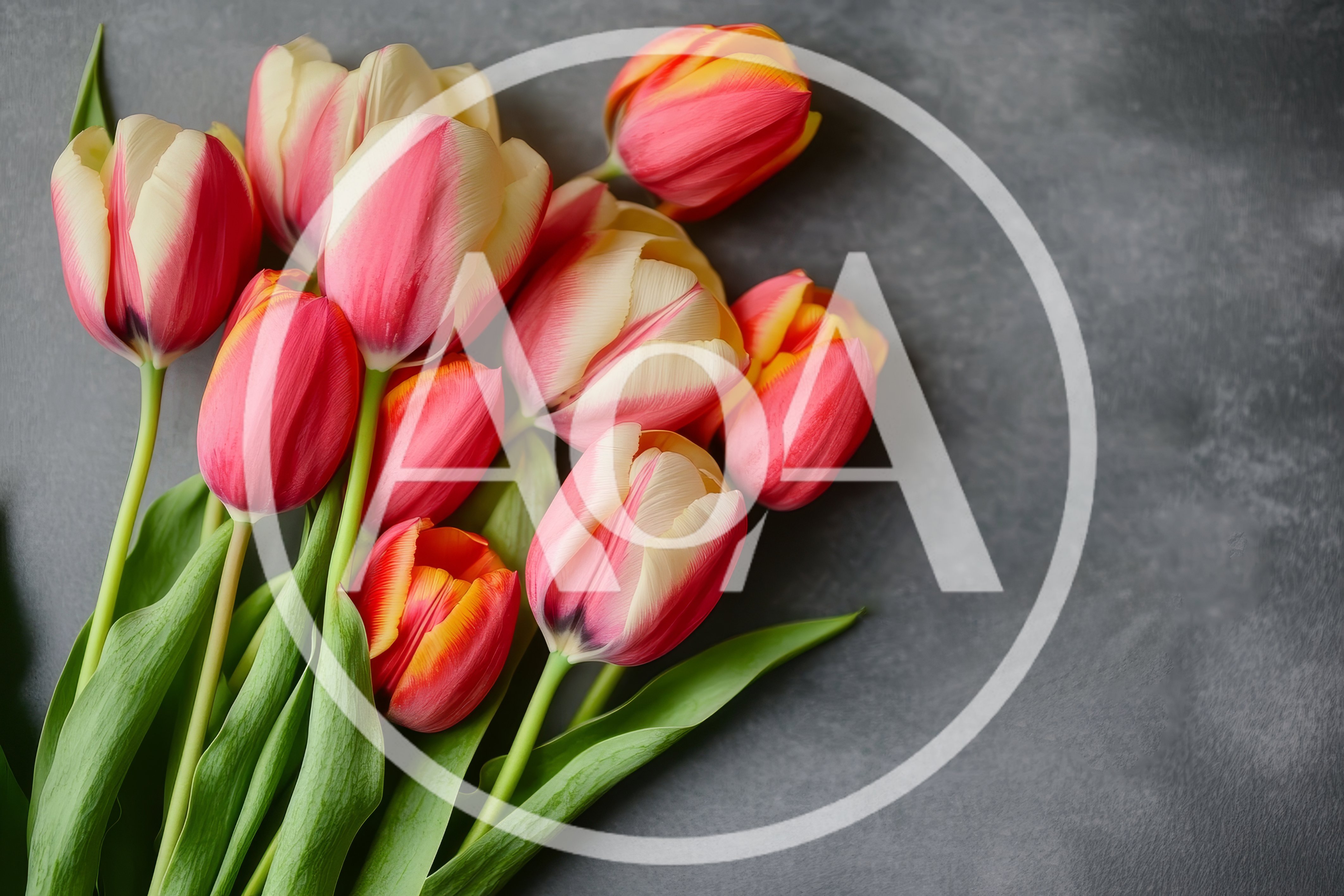Bouquet Of Pink And Yellow Tulips On Grey Background
