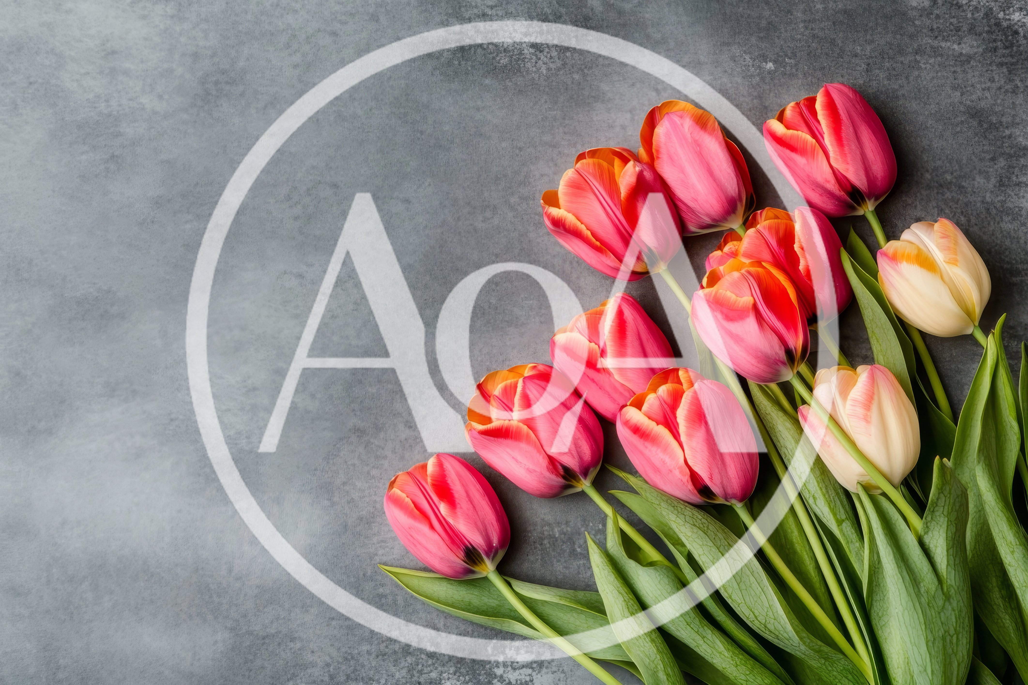 Bouquet Of Fresh Pink And White Tulips