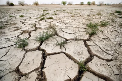 Cracked Dry Earth With Sparse Green Vegetation