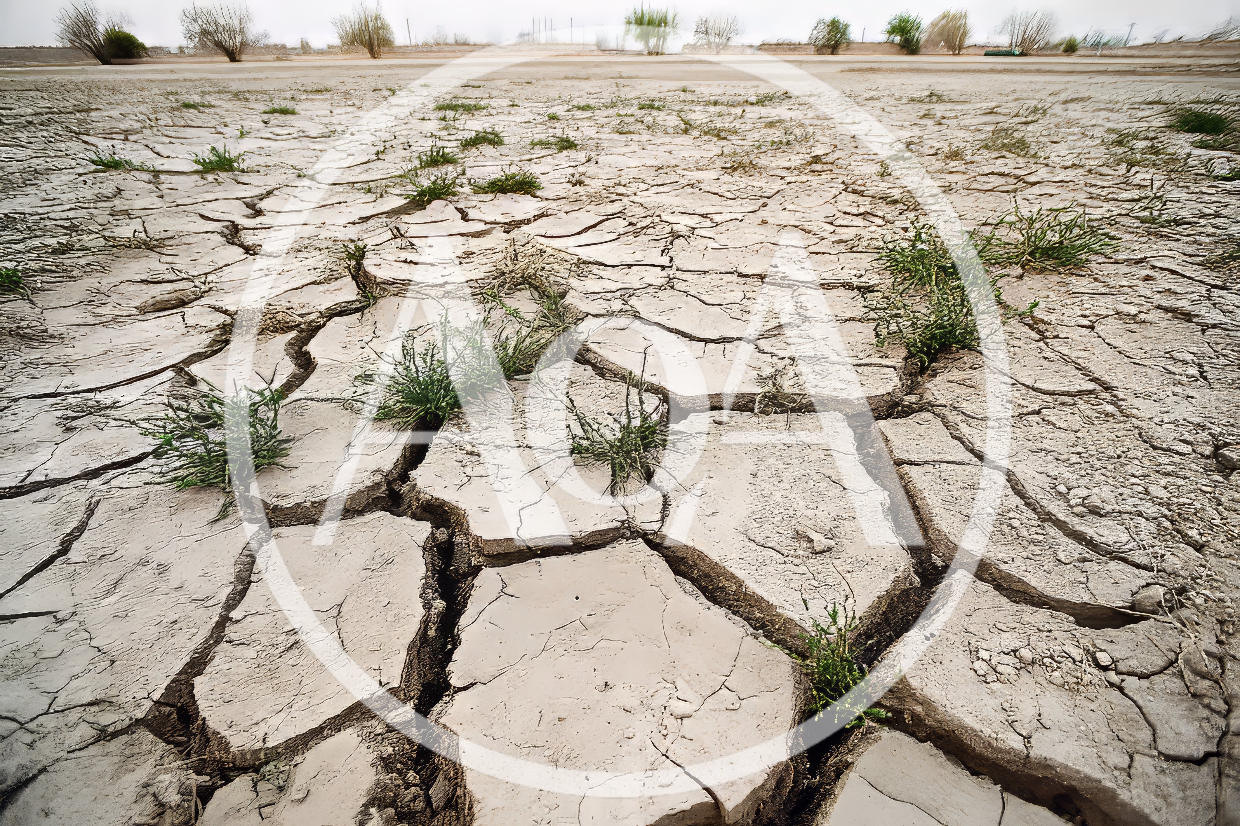 Cracked Dry Earth With Sparse Green Vegetation