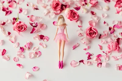 Barbie Doll Standing Amidst Scattered Pink Rose Petals
