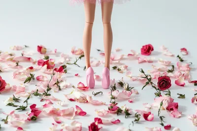 Doll Legs Standing On Scattered Rose Petals