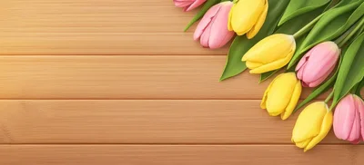 Pink and Yellow Tulips on Wooden Background