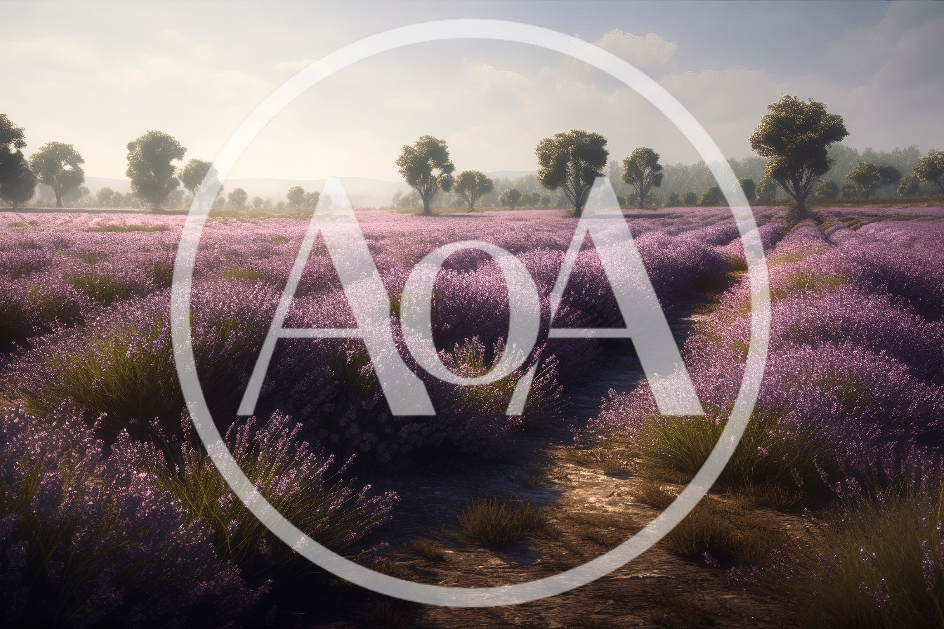 Vast Lavender Field Under Soft Morning Sunlight