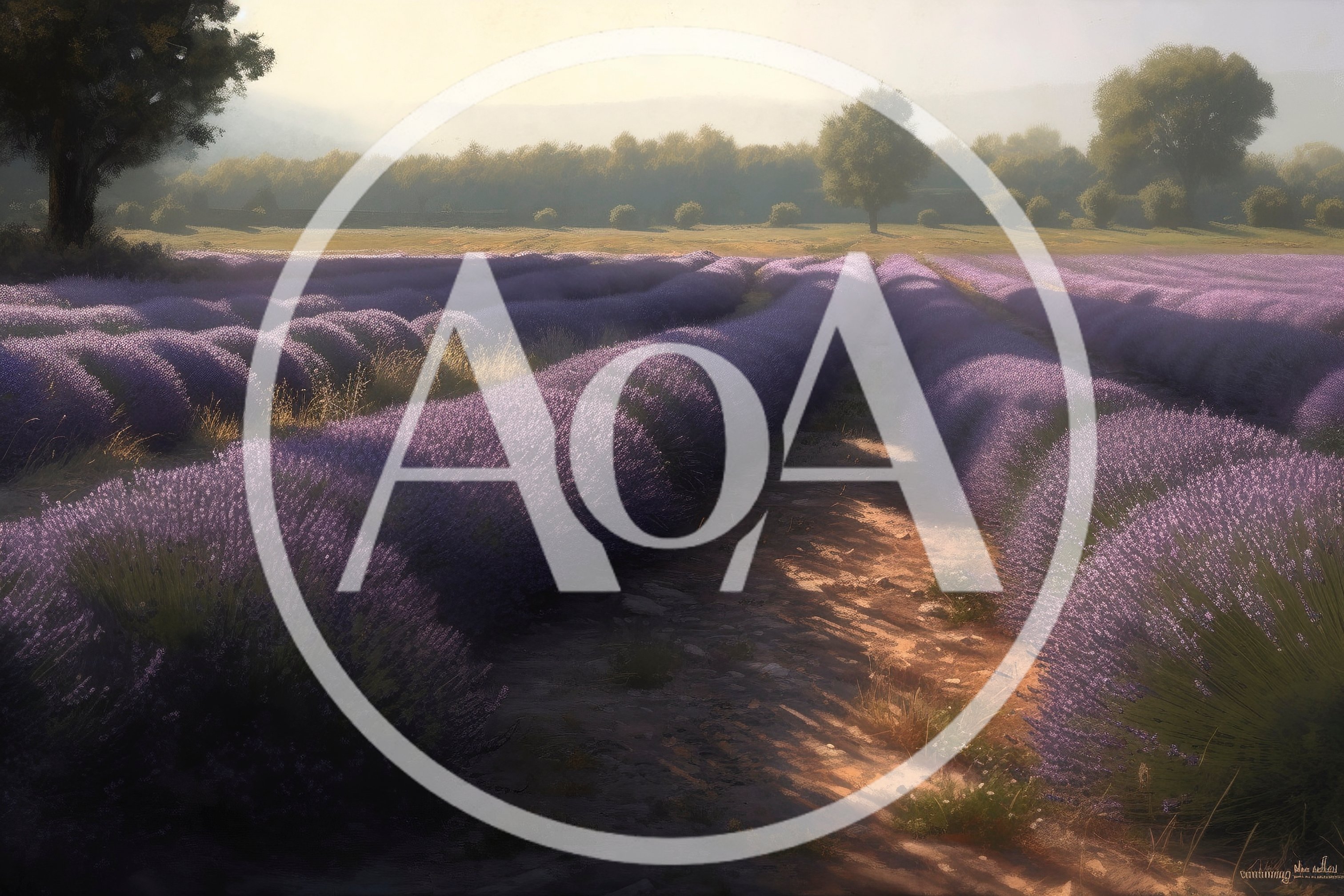 Rows Of Blooming Lavender In A Sunny Field