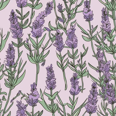 Seamless Pattern Of Hand Drawn Lavender Flowers