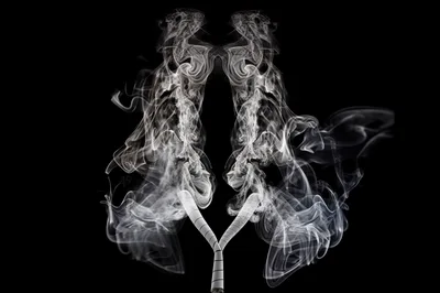 Cigarette Smoke Forming Human Lungs Shape