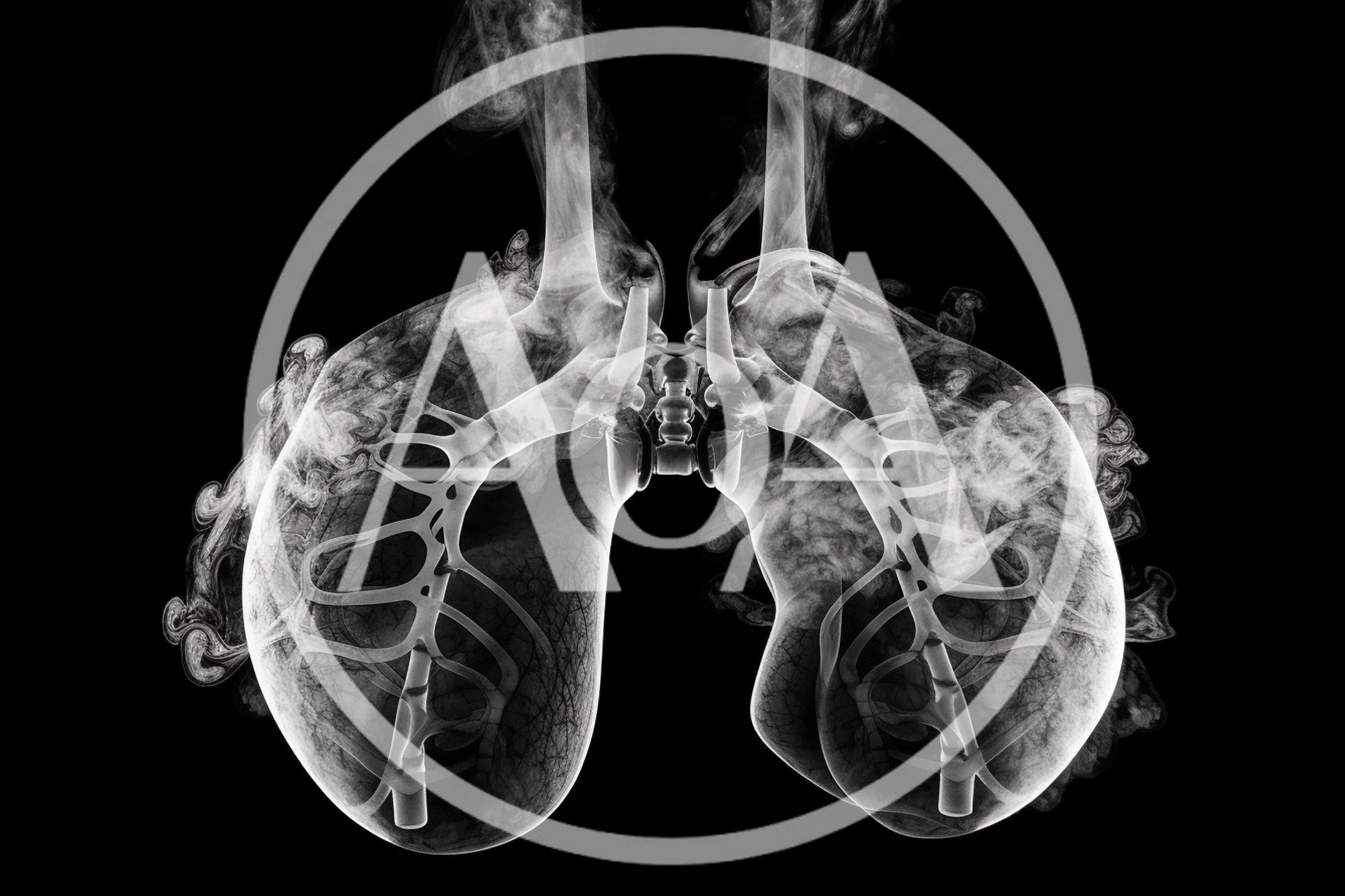 Abstract Artistic Representation Of Human Lungs With Smoke