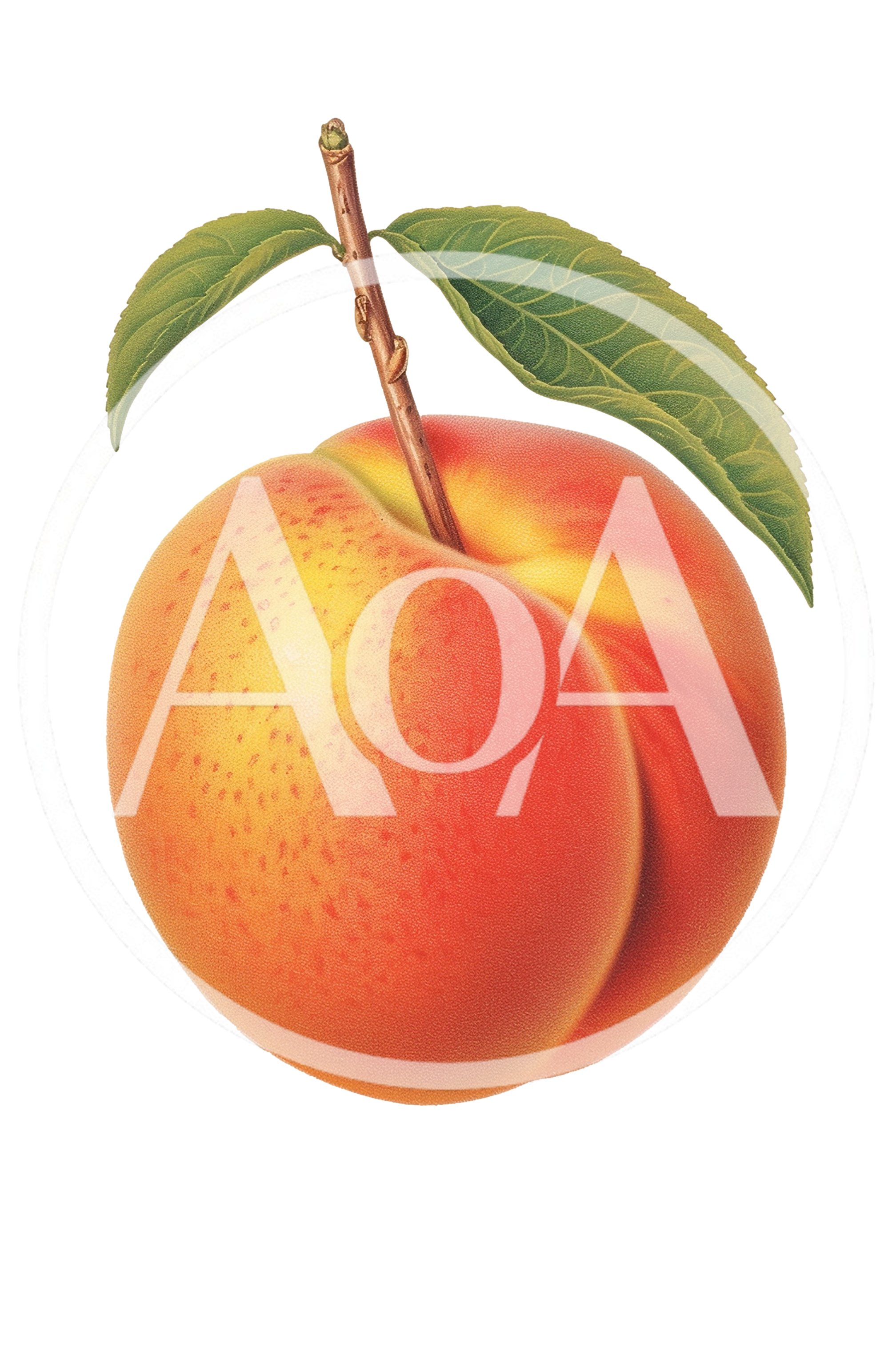 Single Ripe Peach With Green Leaves On White Background