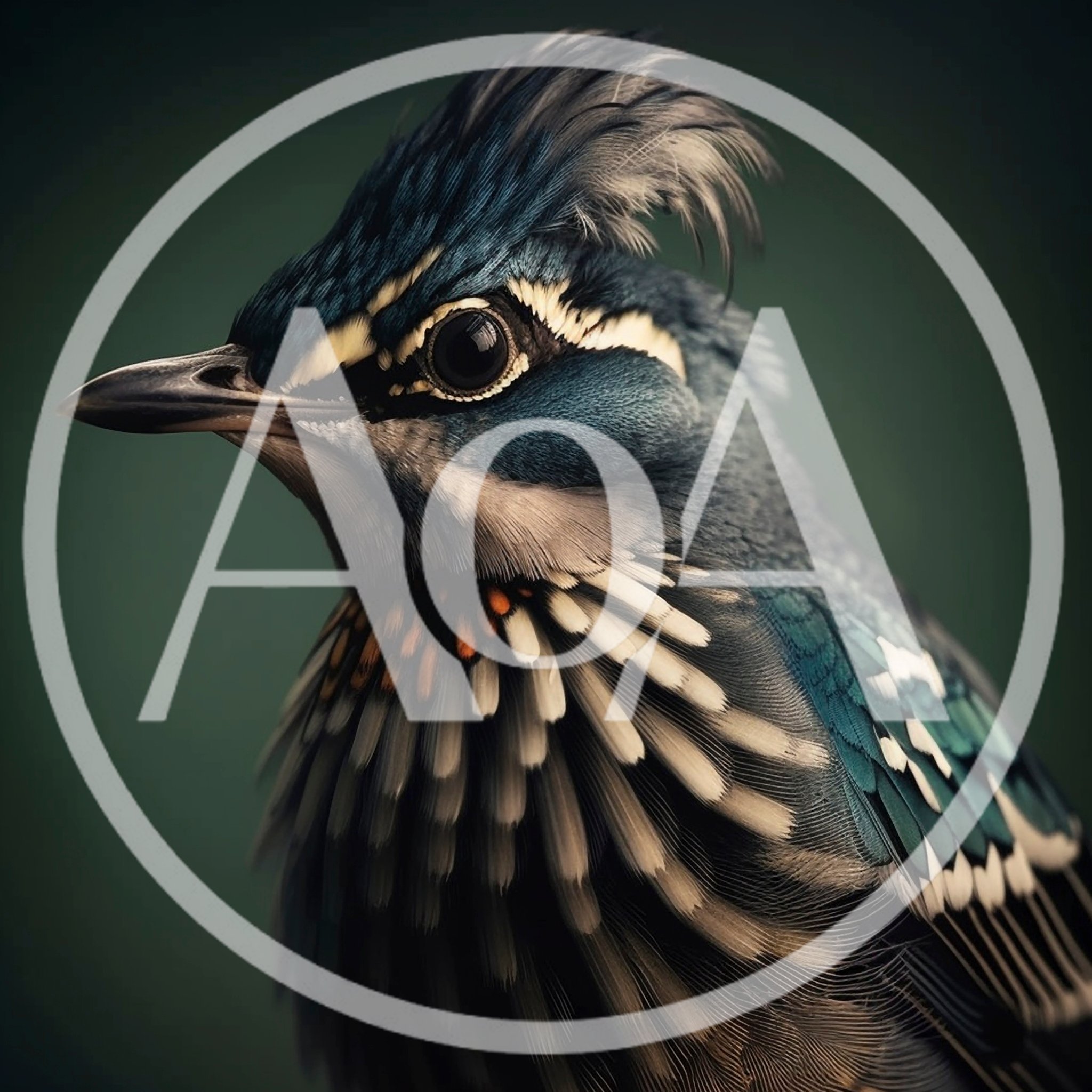Close Up Portrait Of A Crested Blue Bird