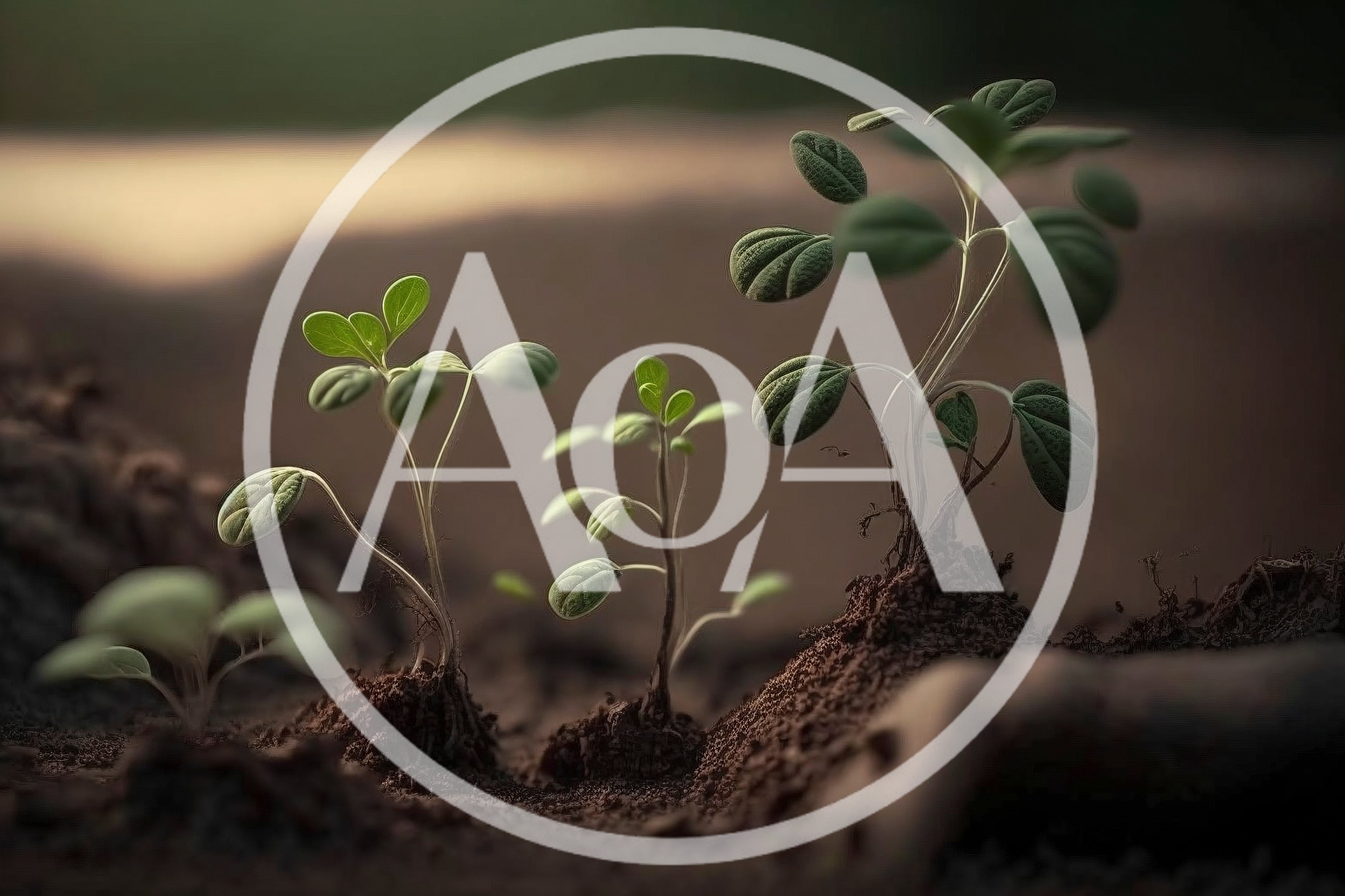 Small Green Seedlings Growing In Dark Fertile Soil