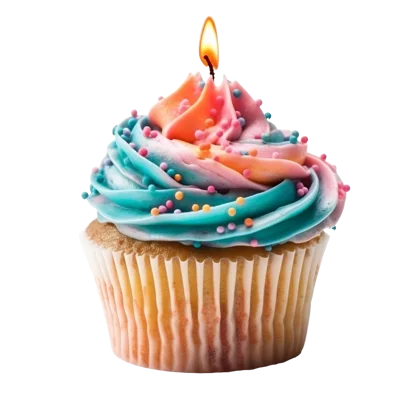 Single Birthday Cupcake With Lit Candle