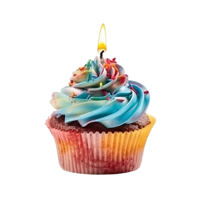 Single Cupcake With Lit Birthday Candle