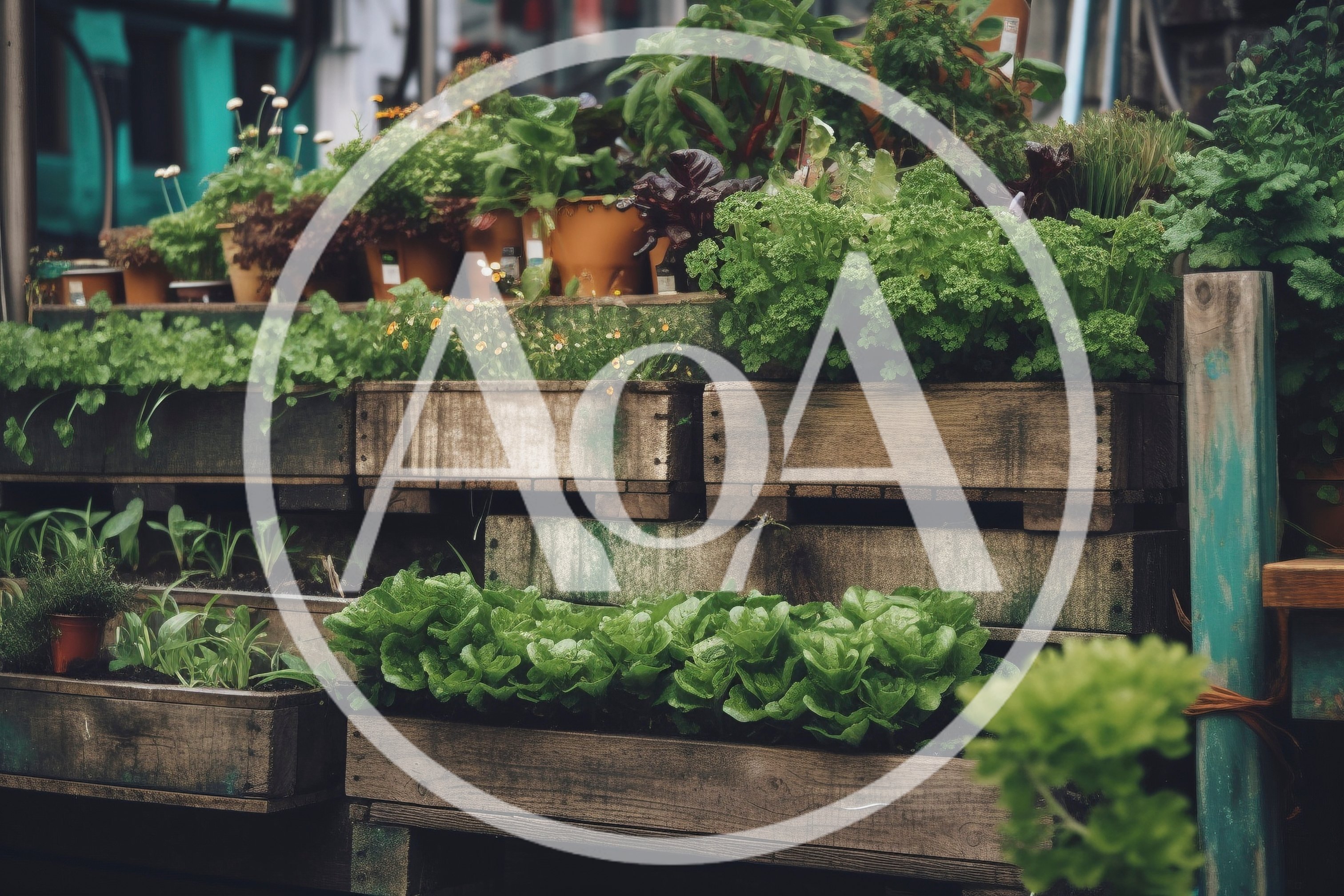 Tiered Wooden Planter Boxes With Fresh Garden Herbs