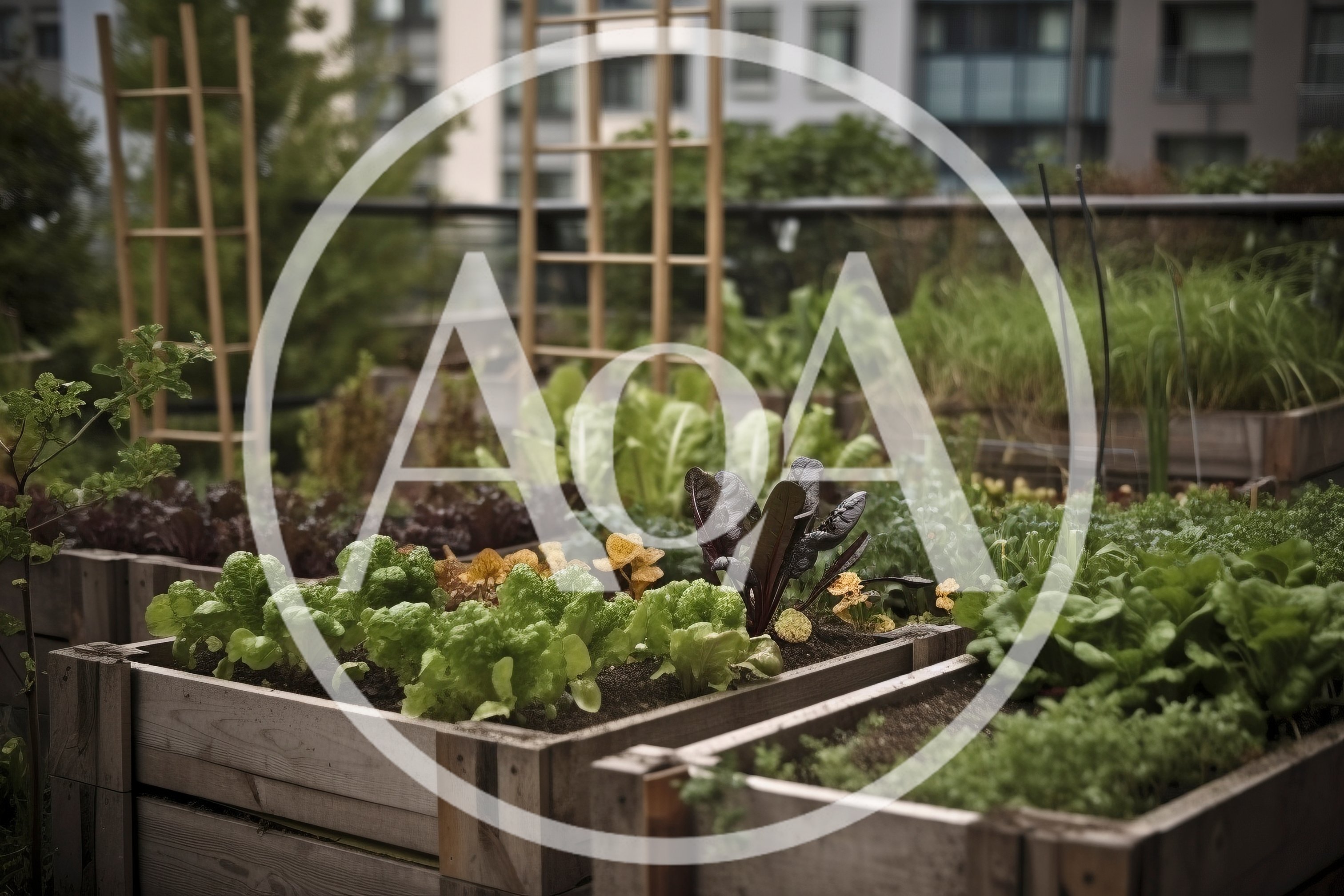 Urban Rooftop Vegetable Garden In Wooden Planter Boxes