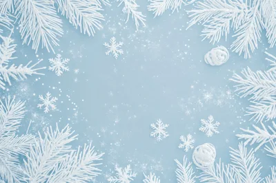 Christmas Holiday Background With Snowy Pine Branches