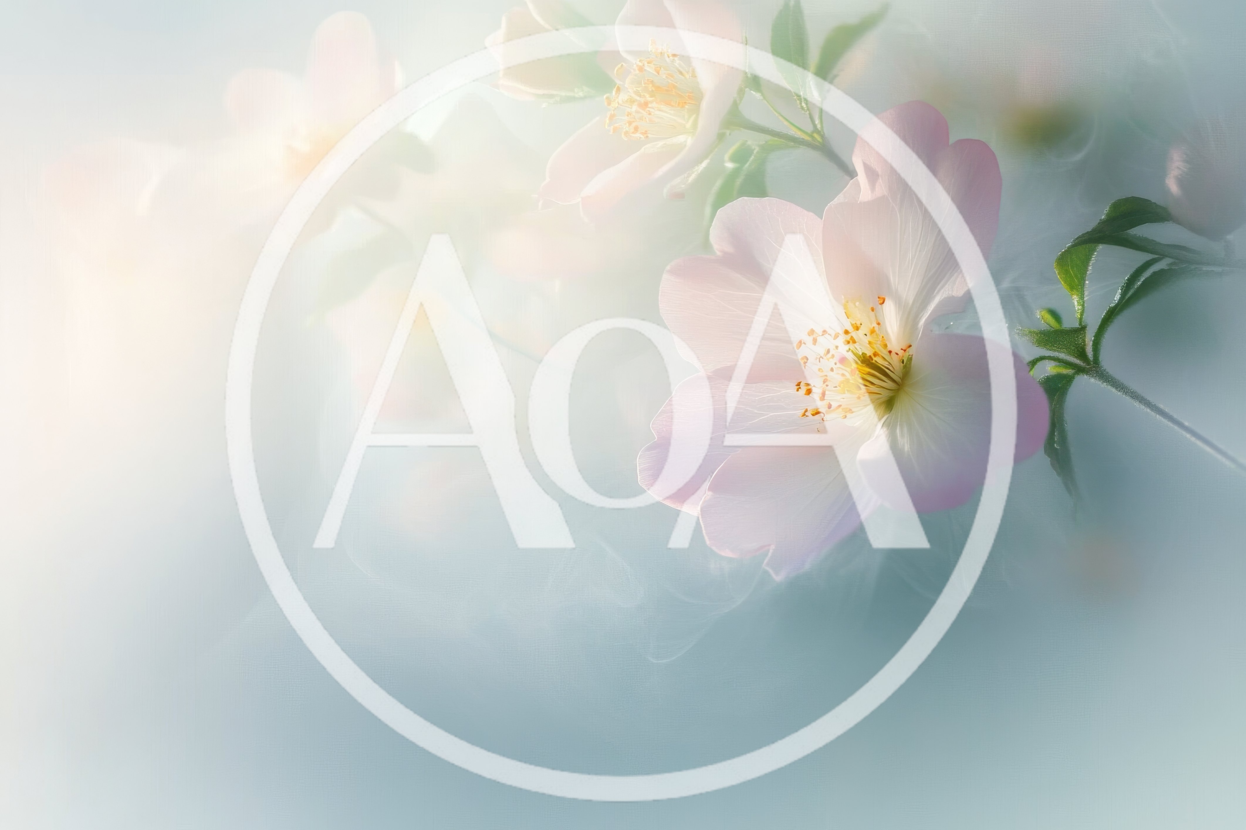 Soft Focus Pale Pink Wild Rose Flowers