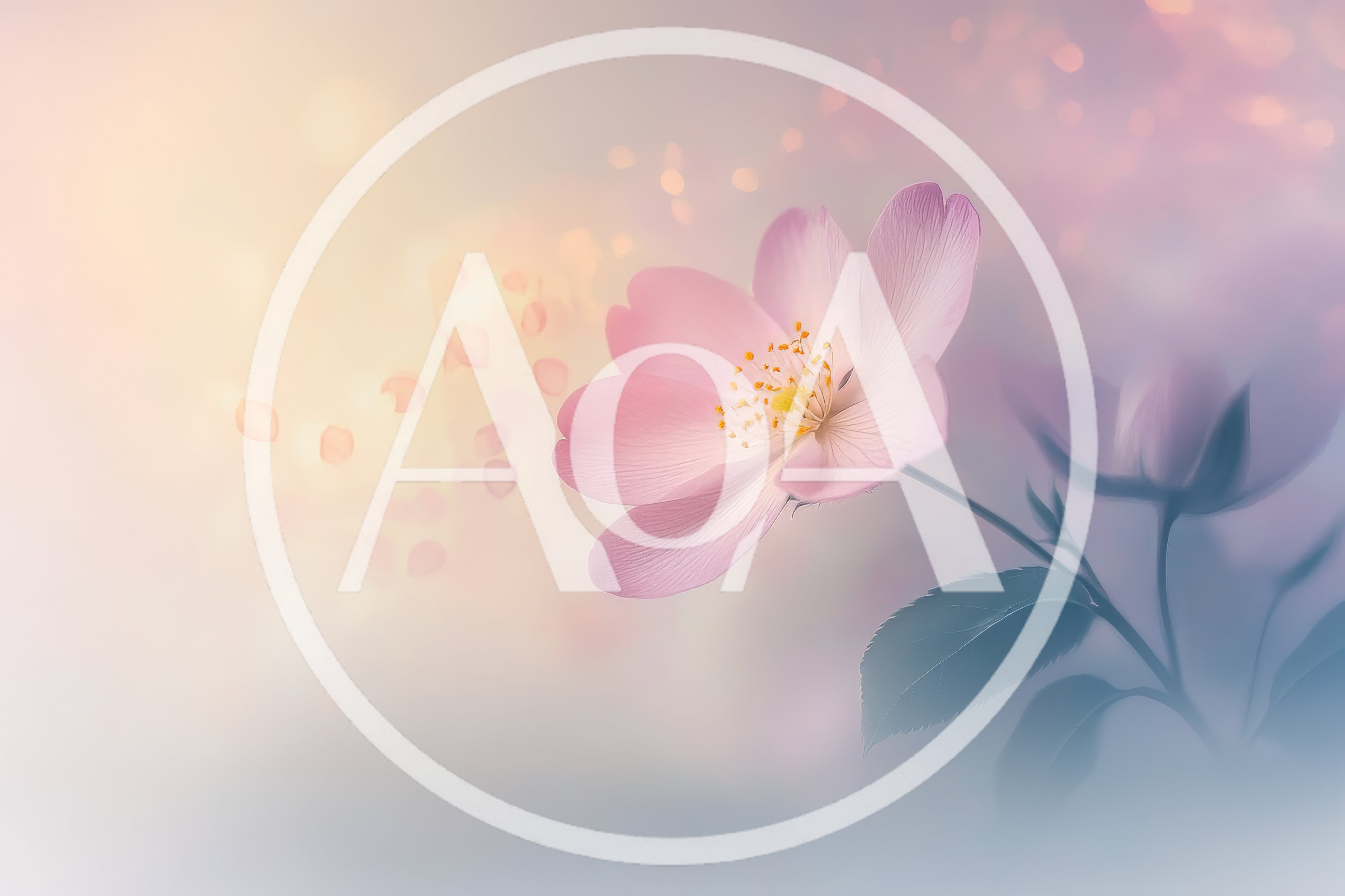 Soft Pink Wild Rose Flower With Bokeh Background
