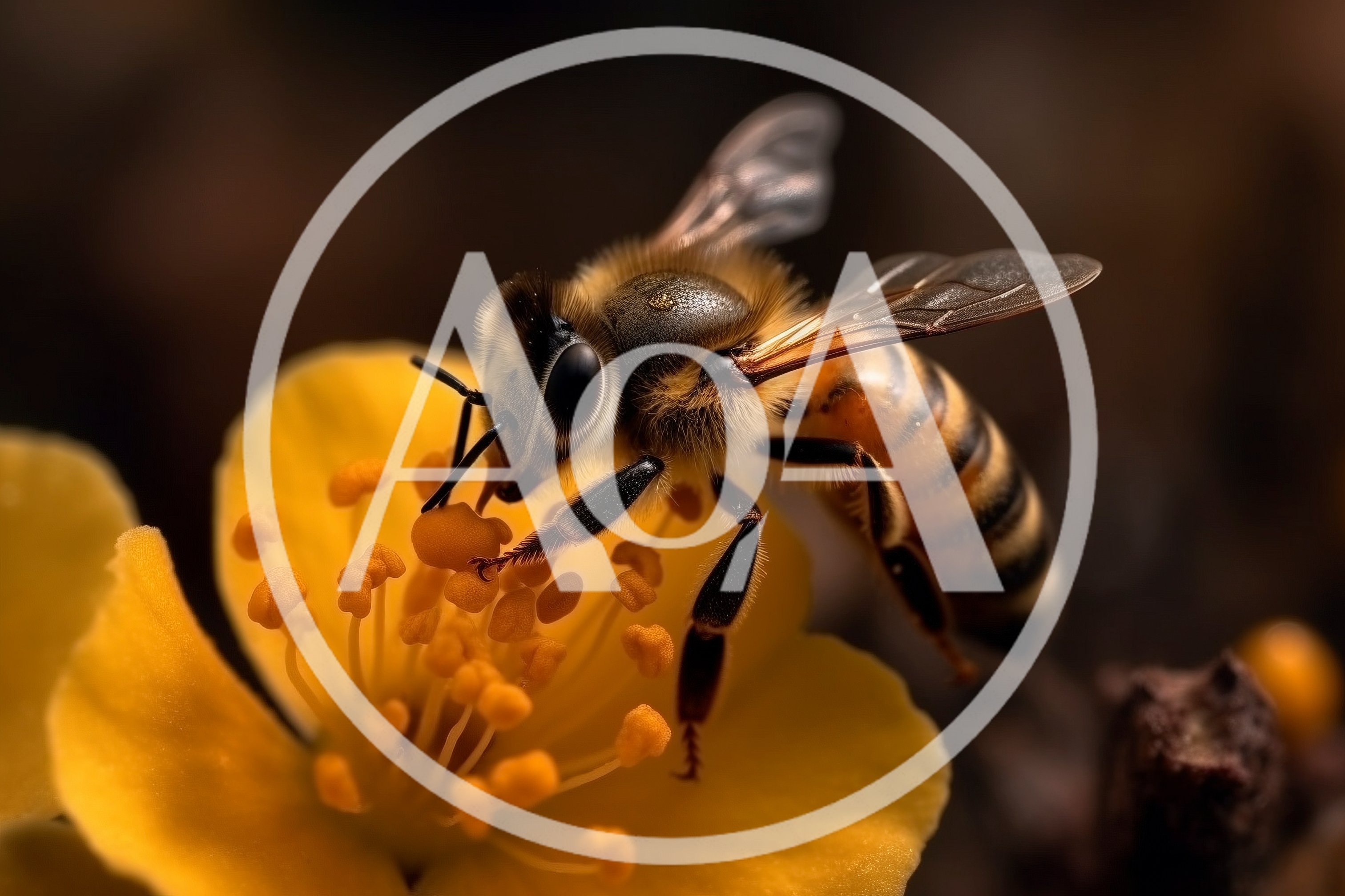 Honey Bee Pollinating A Vibrant Yellow Flower