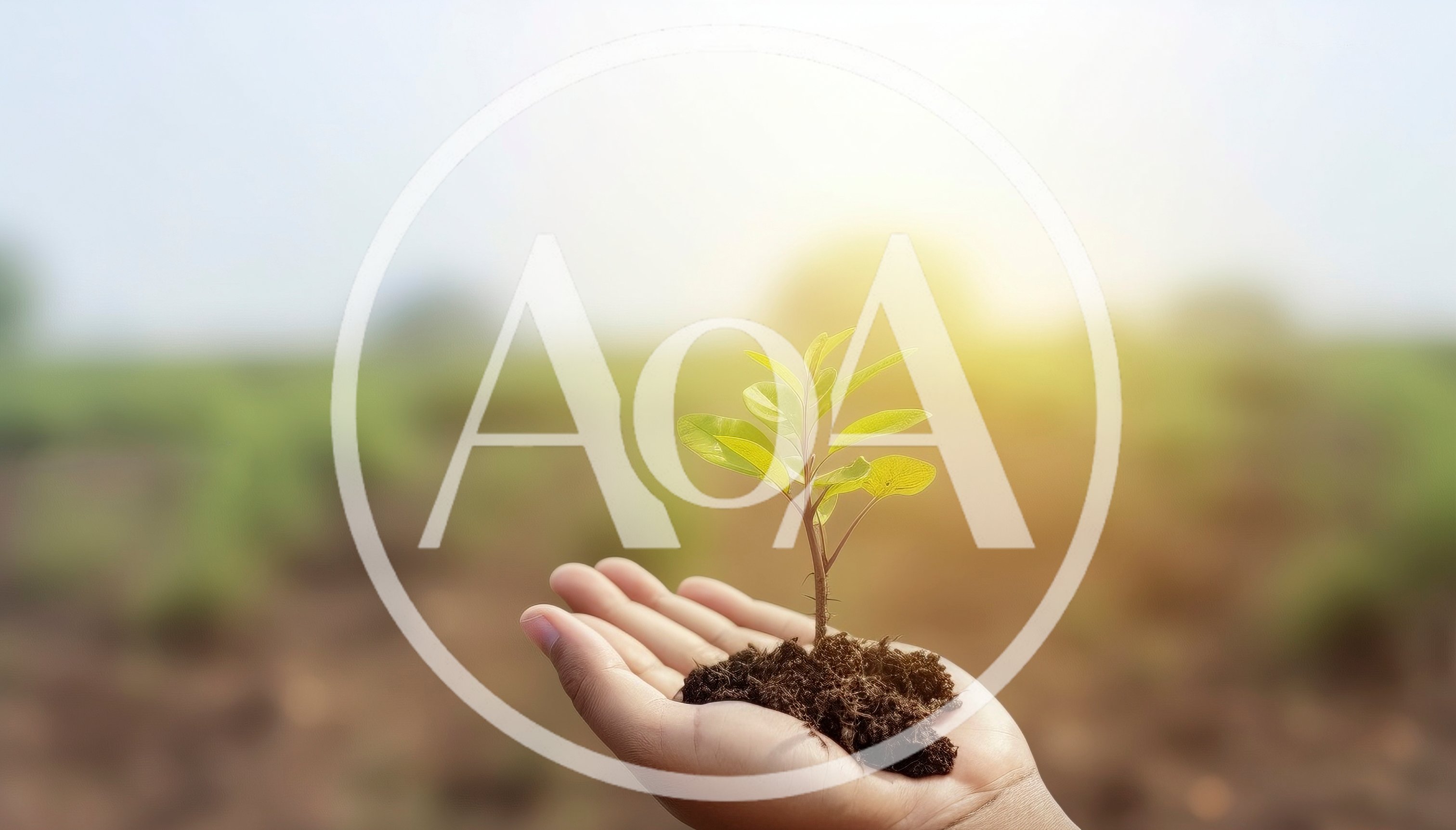 Hand Holding A Small Green Plant In Soil