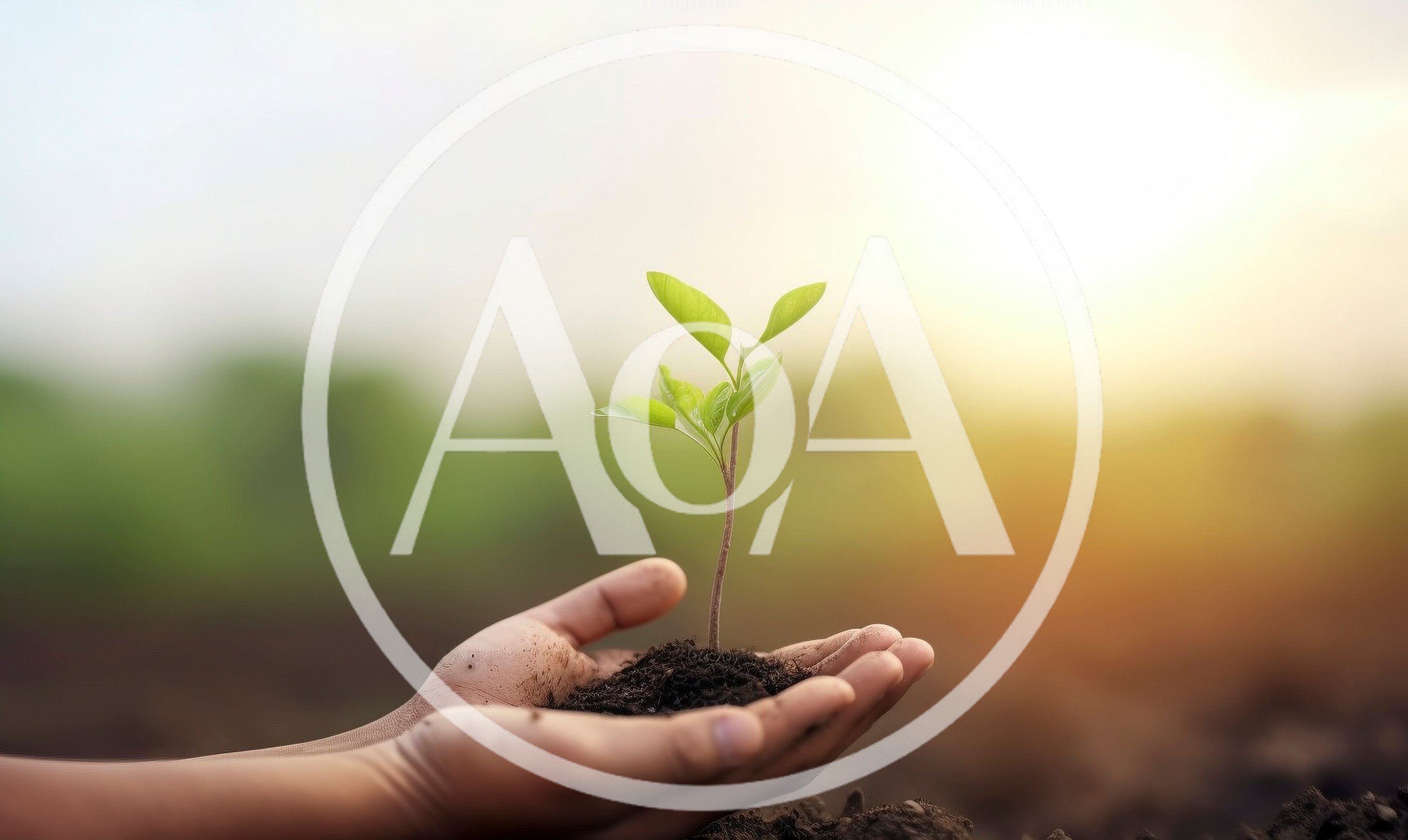 Hands Holding A Small Green Plant Seedling