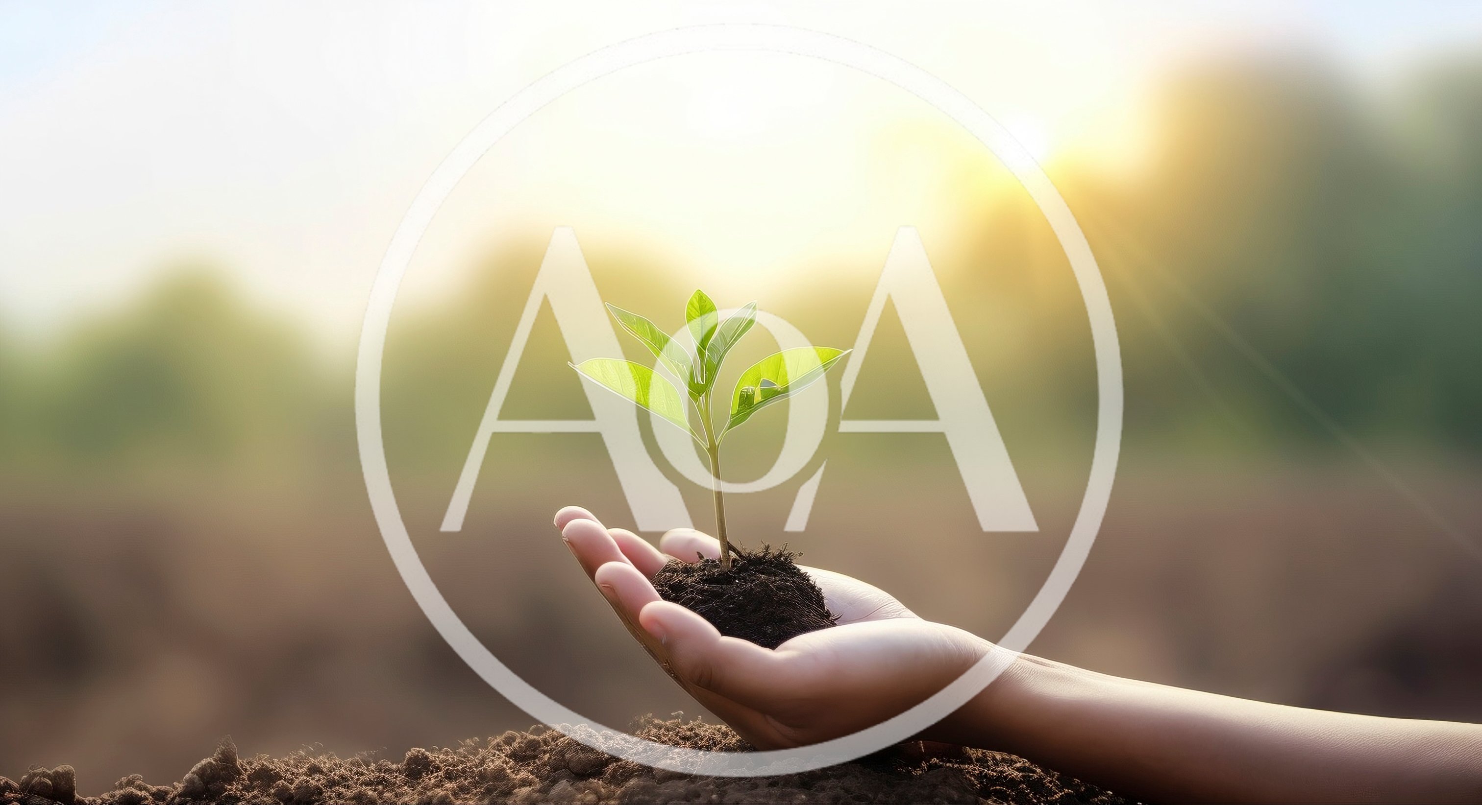 Hand Holding A Small Green Plant In Soil