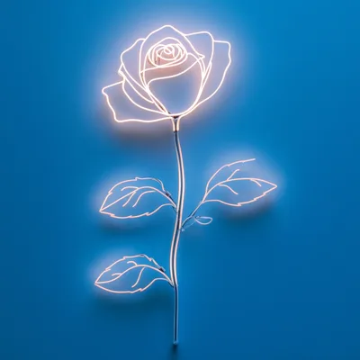 Glowing Neon Rose Light On Blue Wall