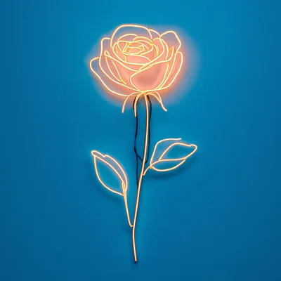 Glowing Neon Rose Sign On Blue Background