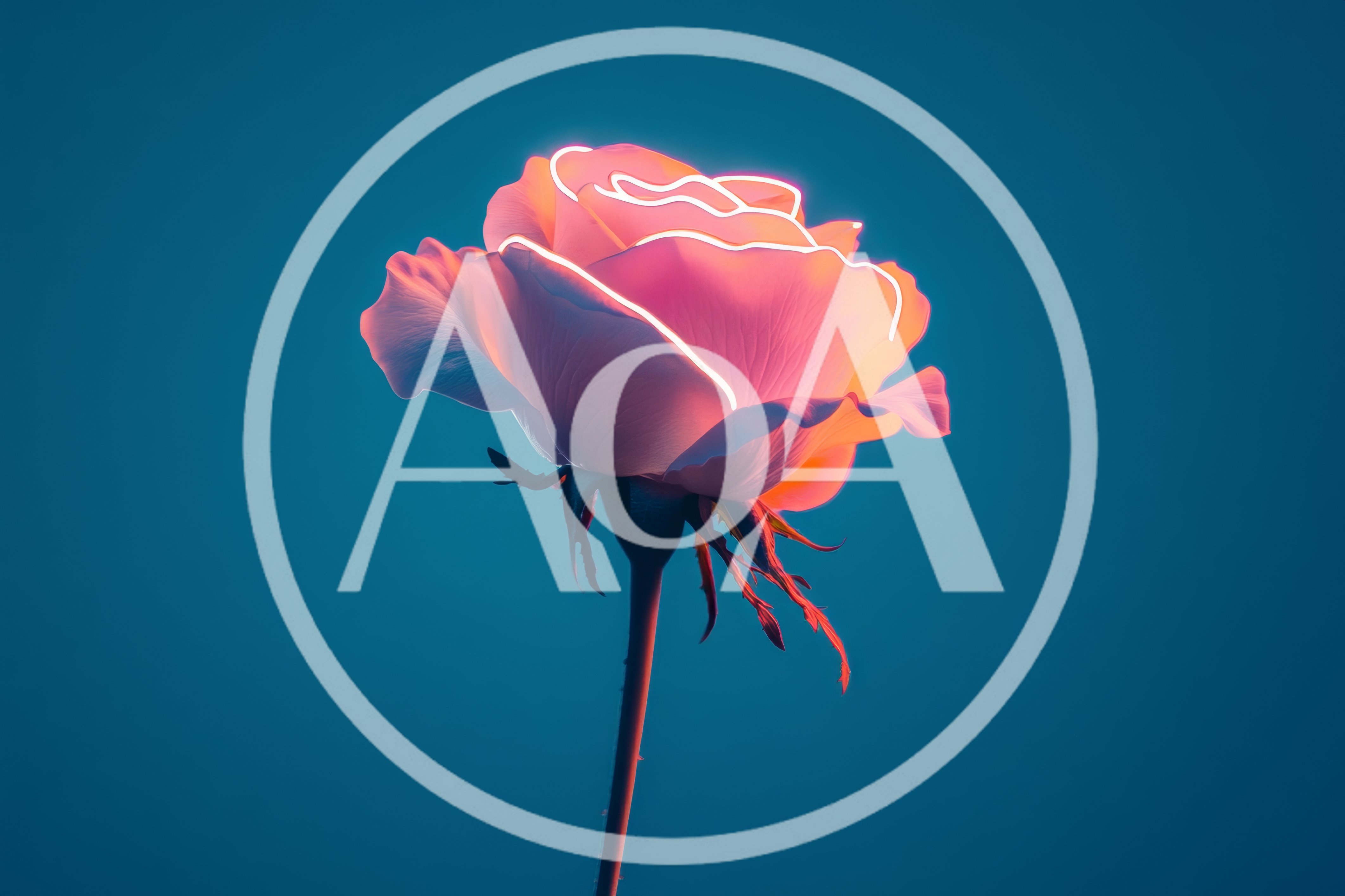 Glowing Neon Rose Against A Solid Blue Background